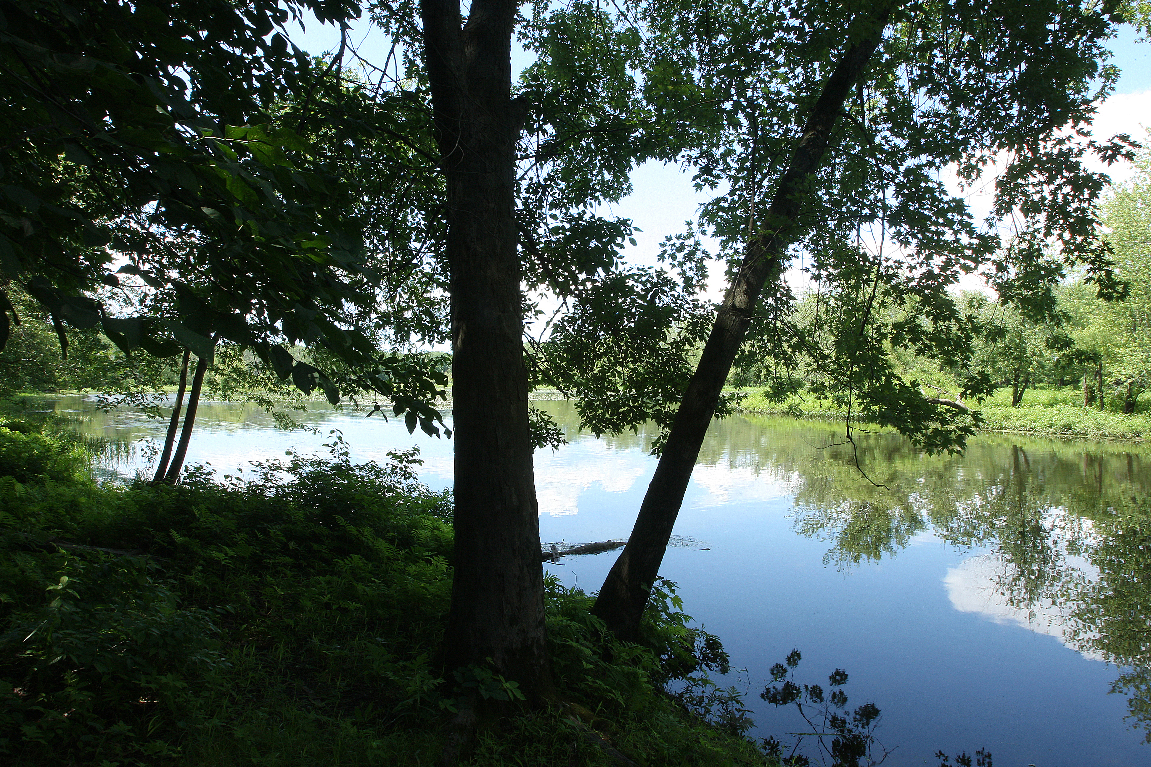 Grab your boots and take your pick of trails in the Arcadia Wildlife Sanctuary in Easthampton.