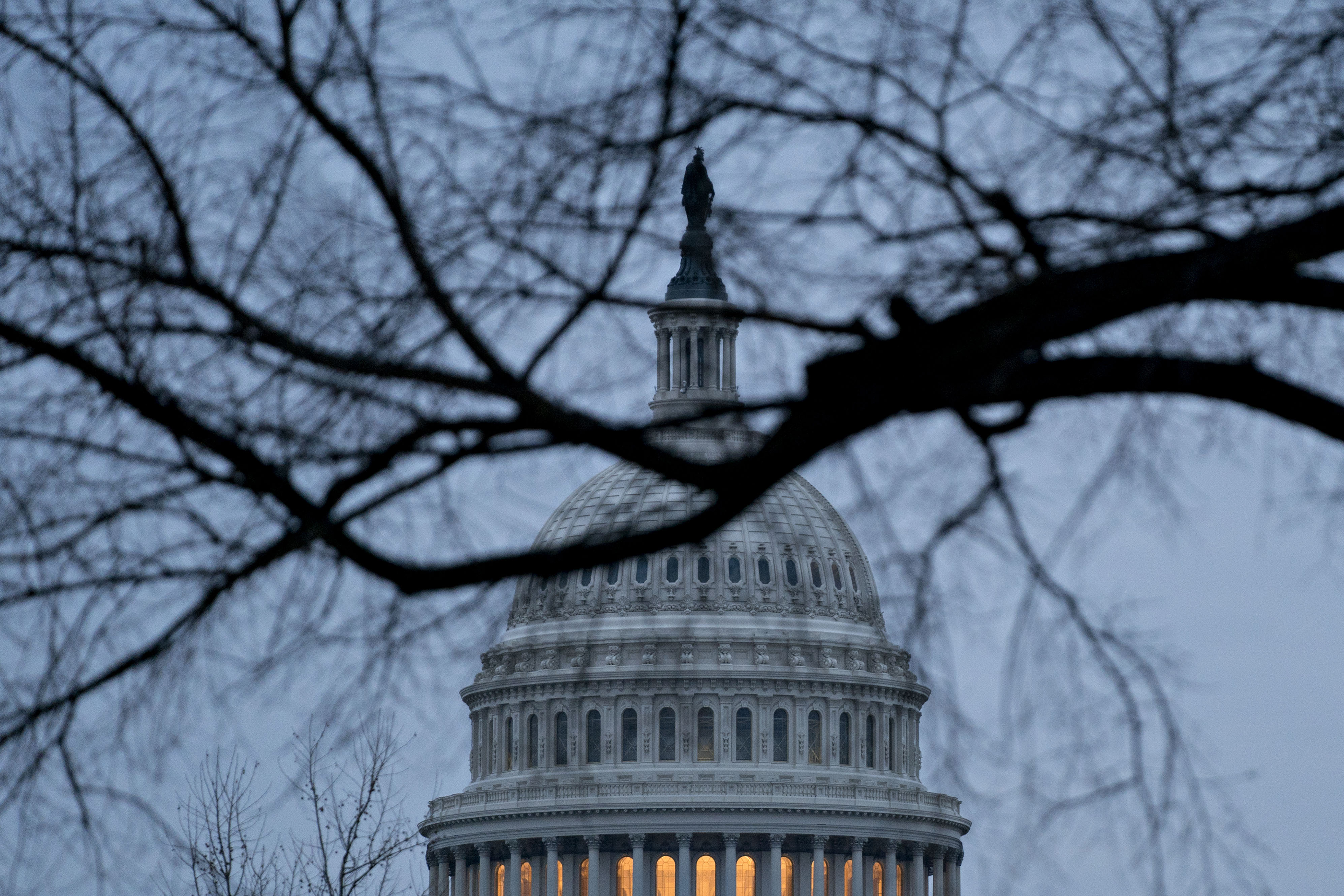 The US Capitol in Washington, D.C.