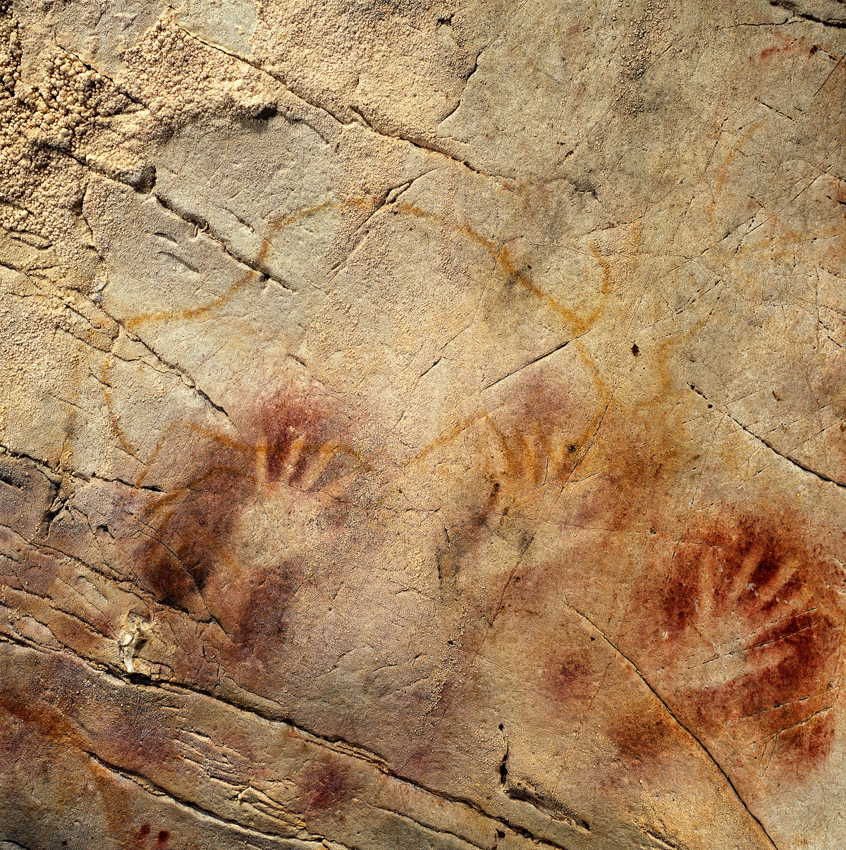 A date from a disk shows this “Panel of Hands’’ painting in the El Castillo Cave in Spain to be older than 40,800 years.