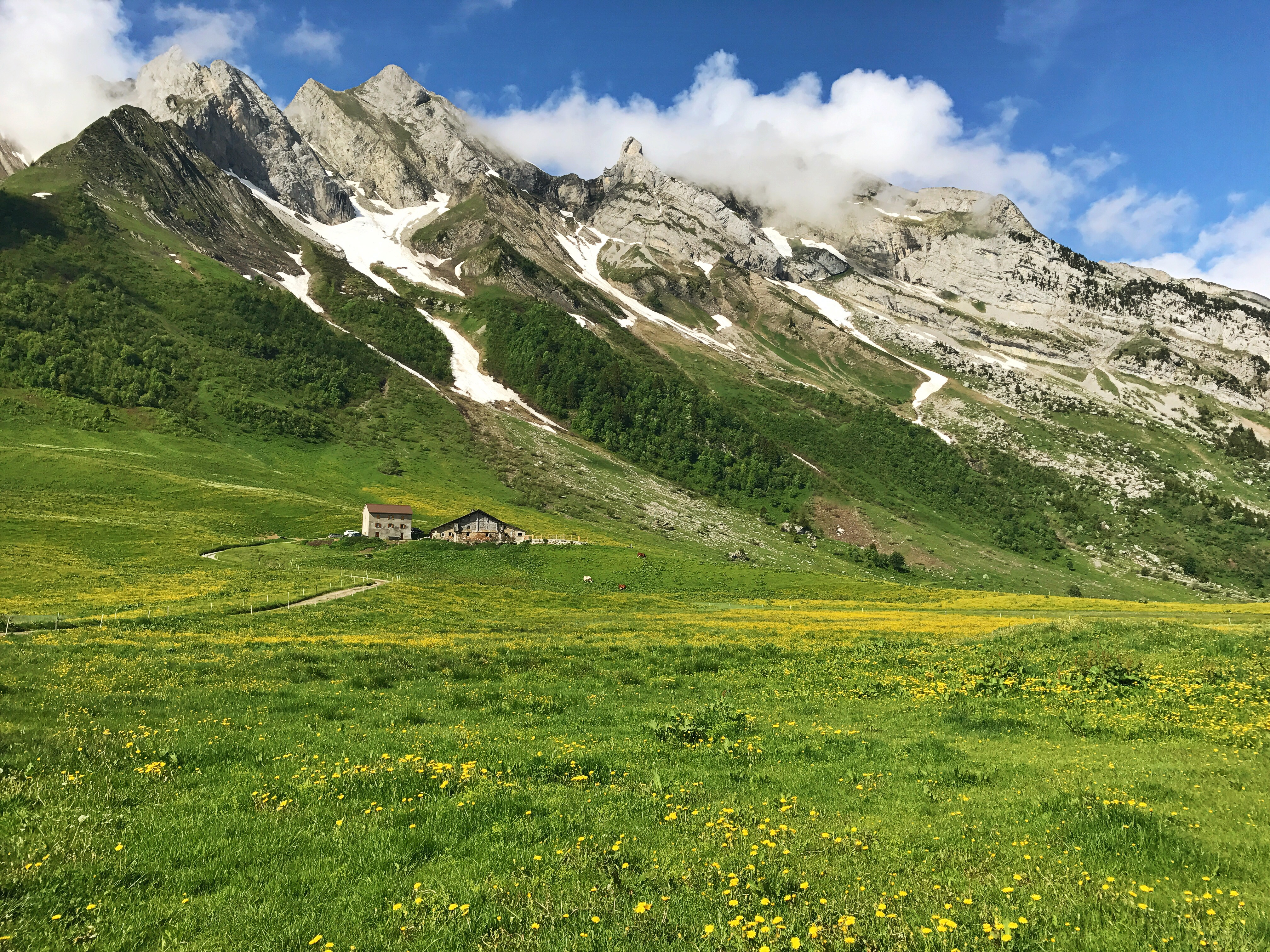 EF Go Ahead Tours has created tours geared to solo travelers, including this one that goes to the Swiss Alps.