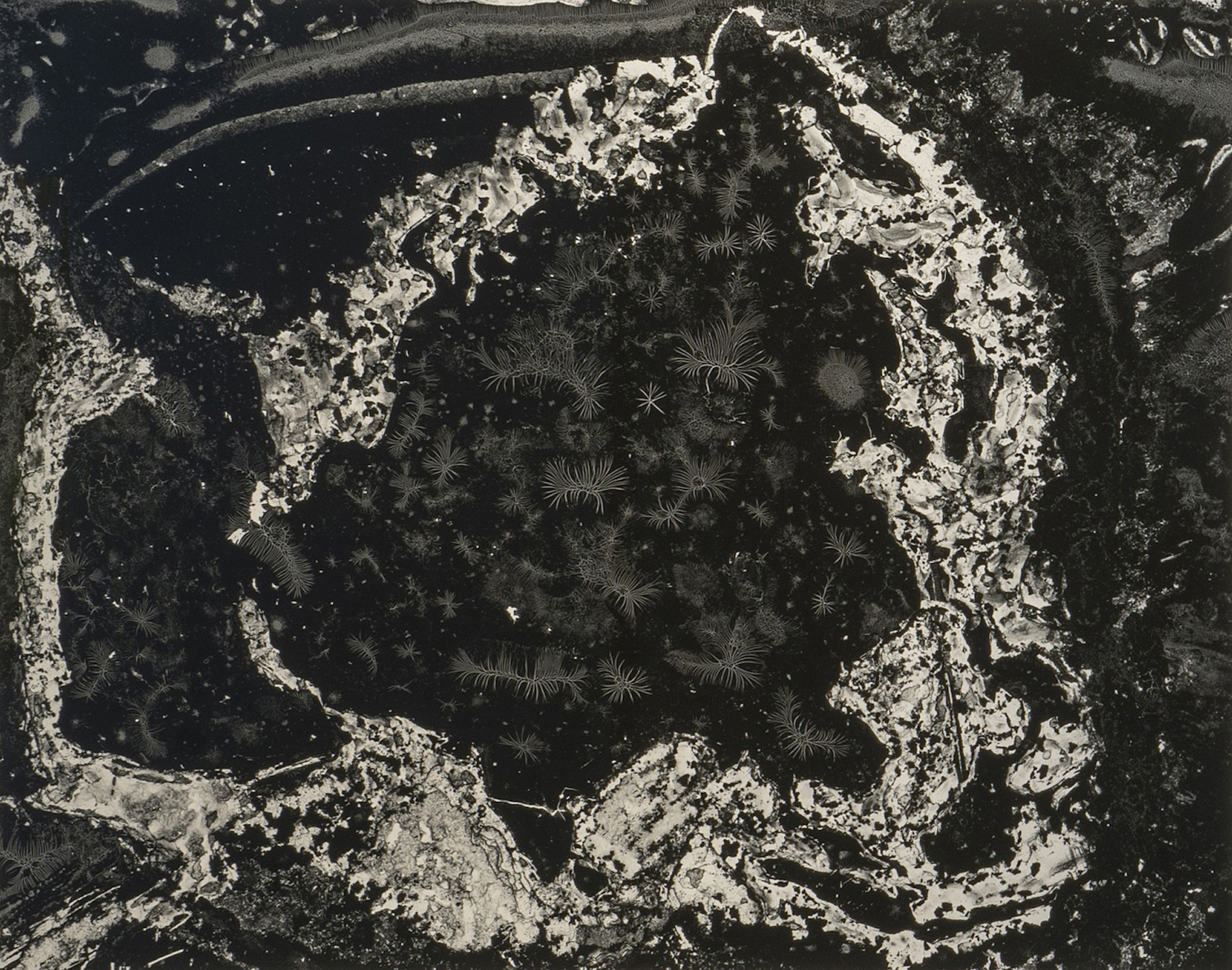 Abelardo Morell’s “Asia: Cliche Verre With Ink Transferred to 8” x 10” Film.”