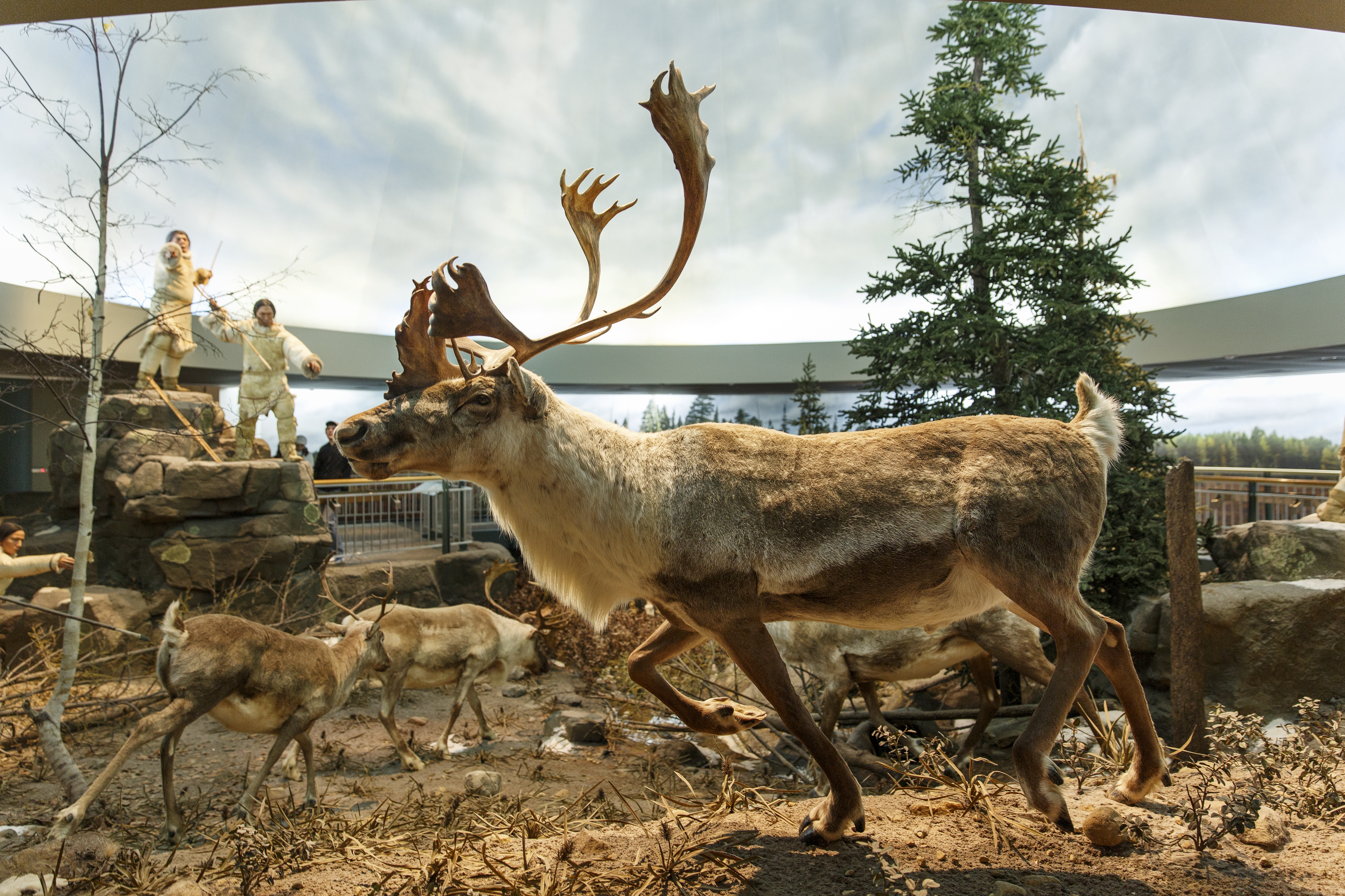 The Mashantucket Pequot Museum.