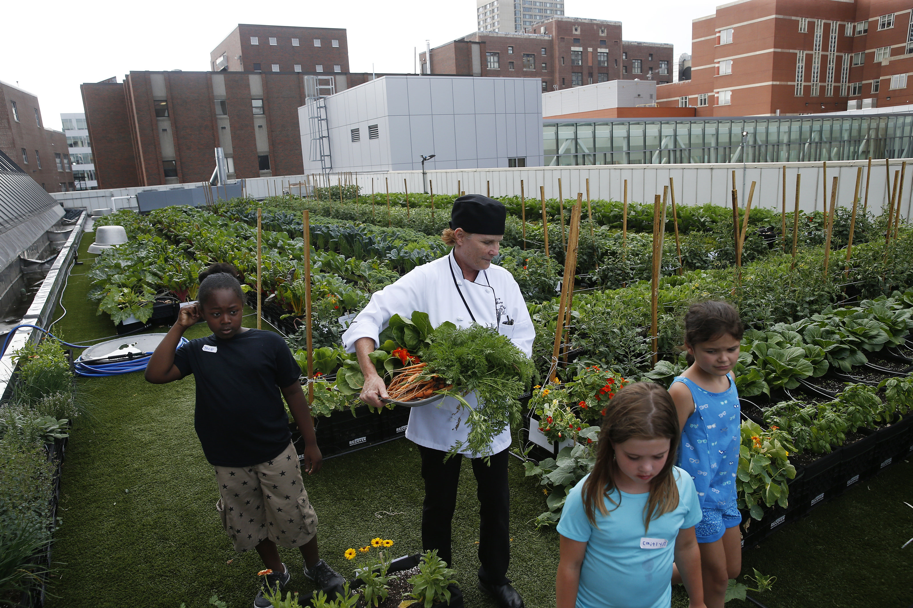 Tracey Burg (center) carried a tray of freshly picked vegetables at the Boston Medical Center’s rooftop farm, as she and campers from BMC’s summer culinary camp headed to the kitchen.
