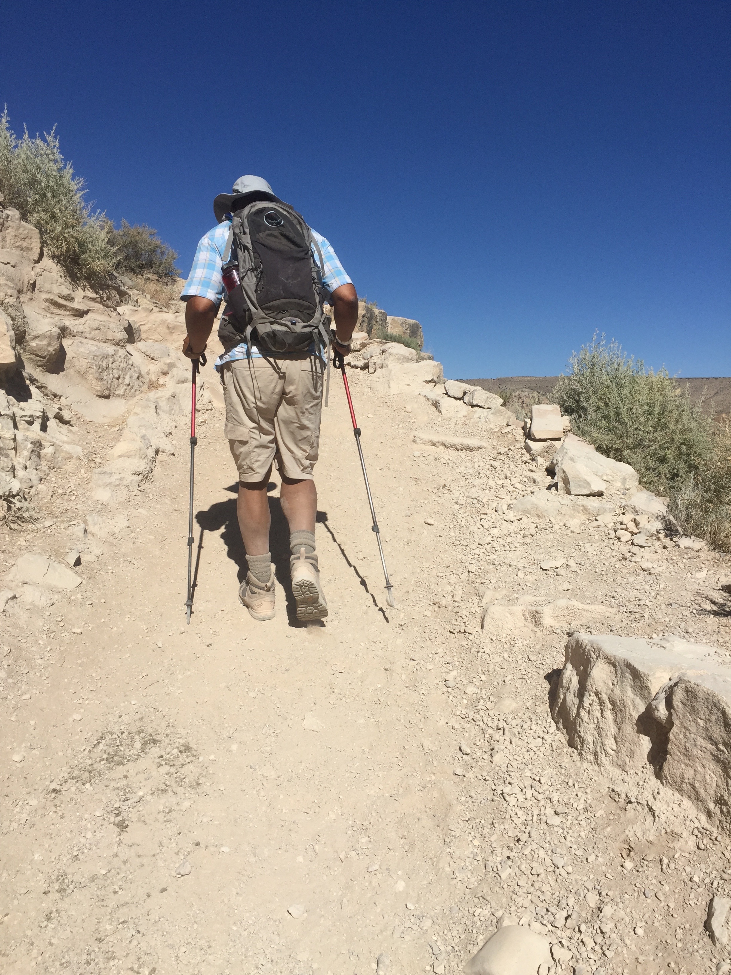 Trekking through hot and dusty Havasu Canyon.