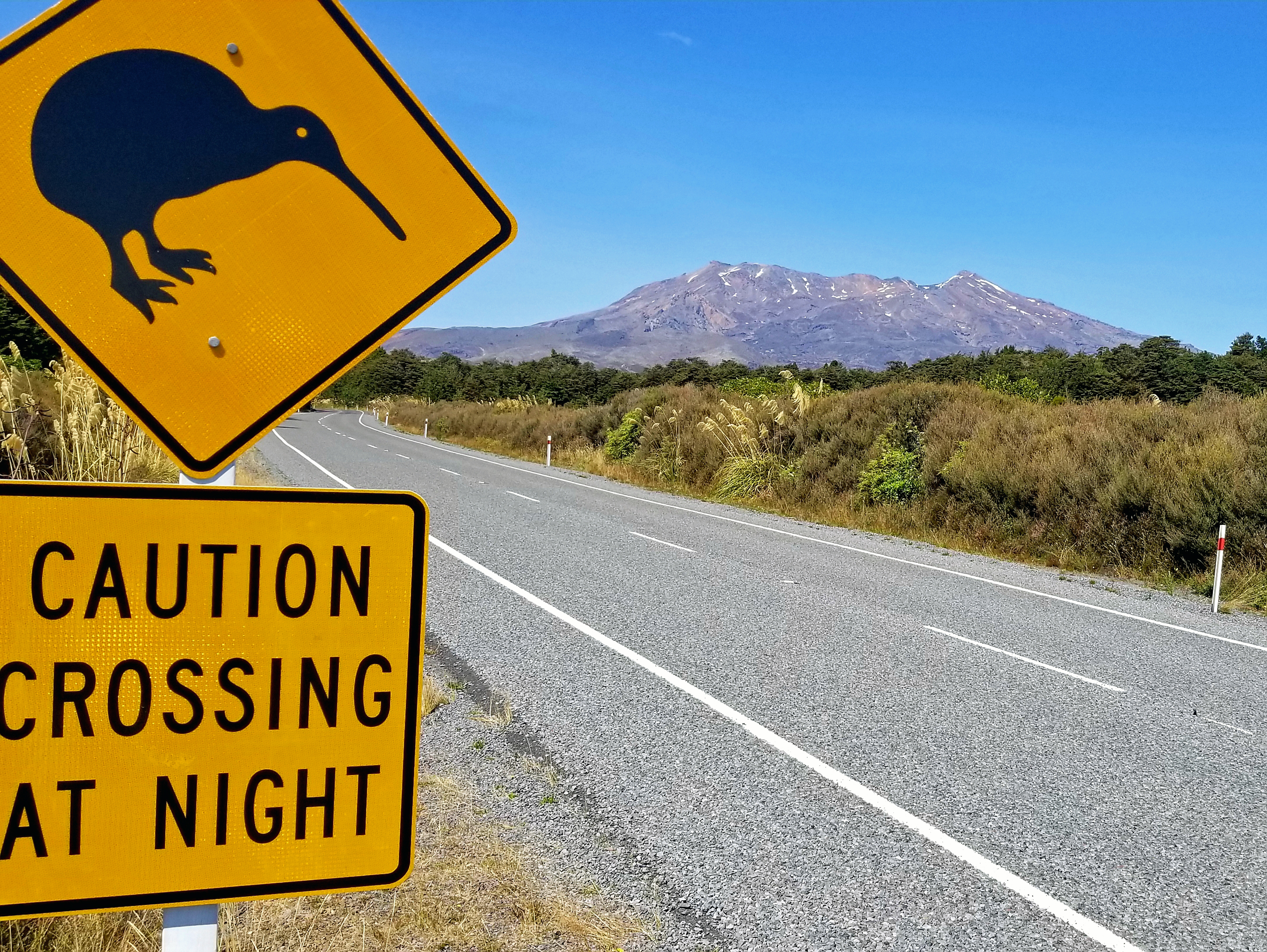 A sign warns of a crossing for the endangered kiwi bird in Tongariro National Park.