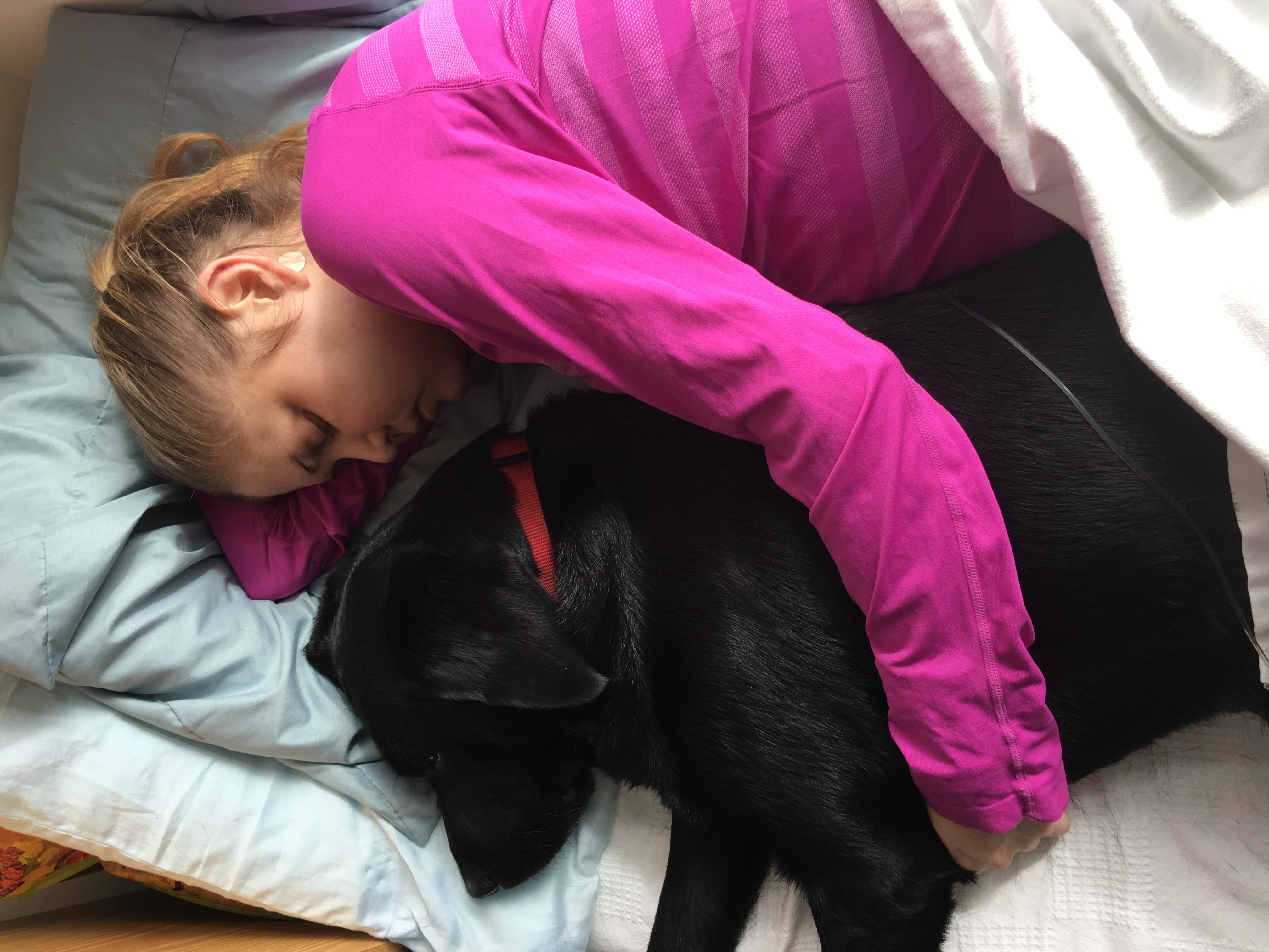 Bella took a well-earned rest while Emily Trout received an IV treatment in 2018.