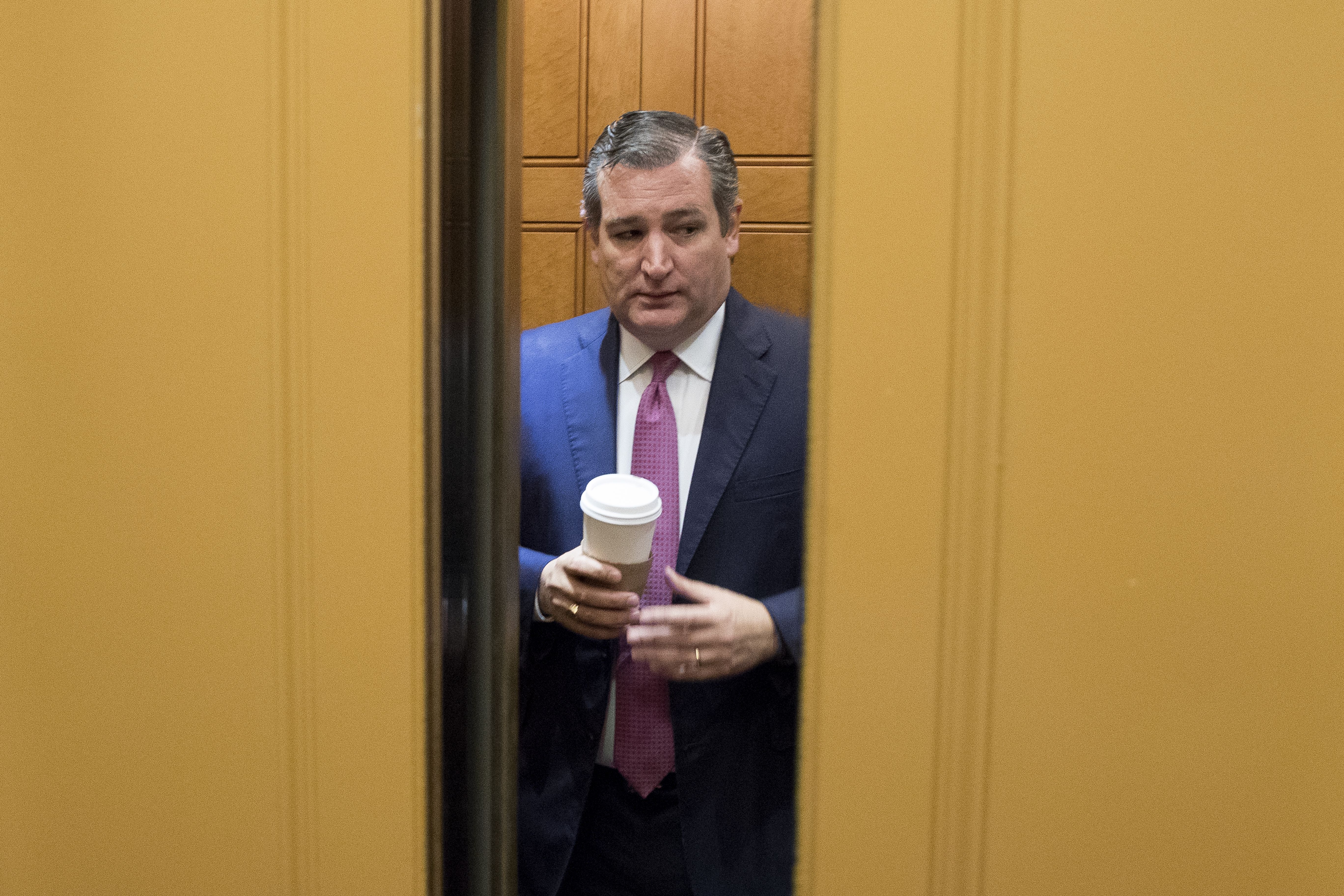 Senator Ted Cruz, Republican of Texas, was originally the Mercers’ favored candidate.