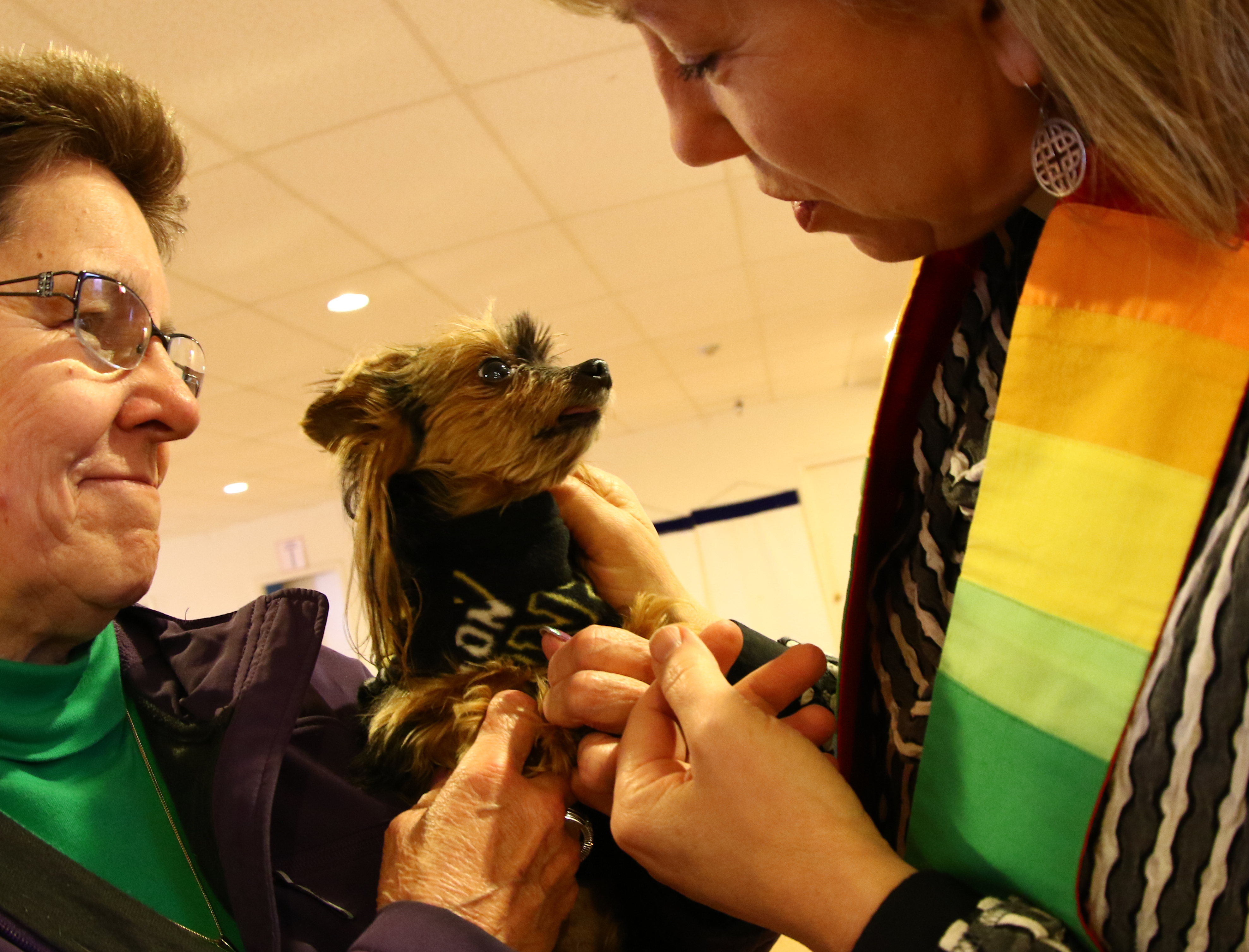 The Rev. Marya DeCarlen blessed Pallina while the dog’s owner, Lynda Juppe of Tewksbury watched during the monthly service of Perfect Pet Paws Ministry at All Saints Episcopal Church in Danvers.