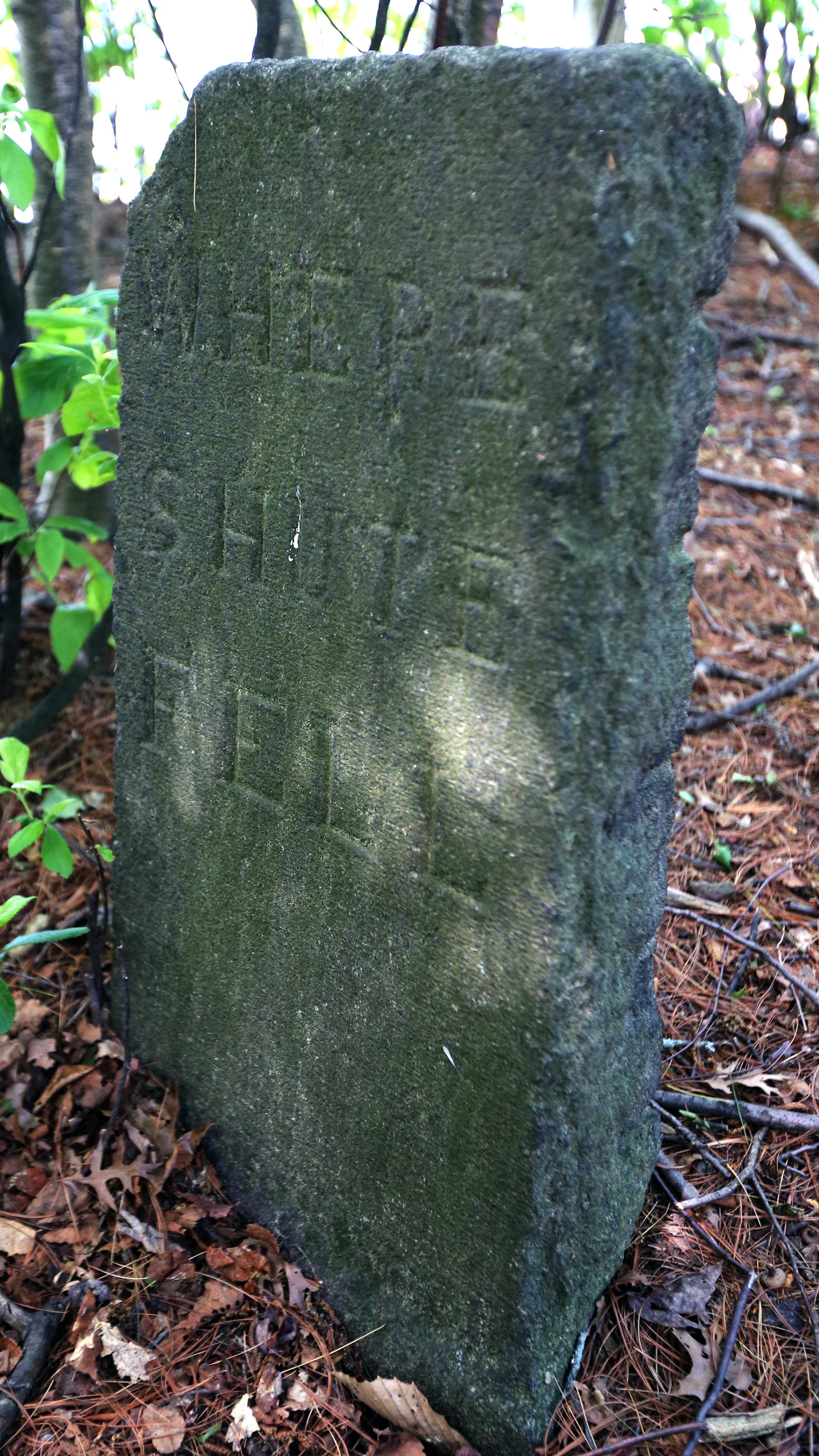 The marker on Great Island in Stoneham’s Spot Pond.