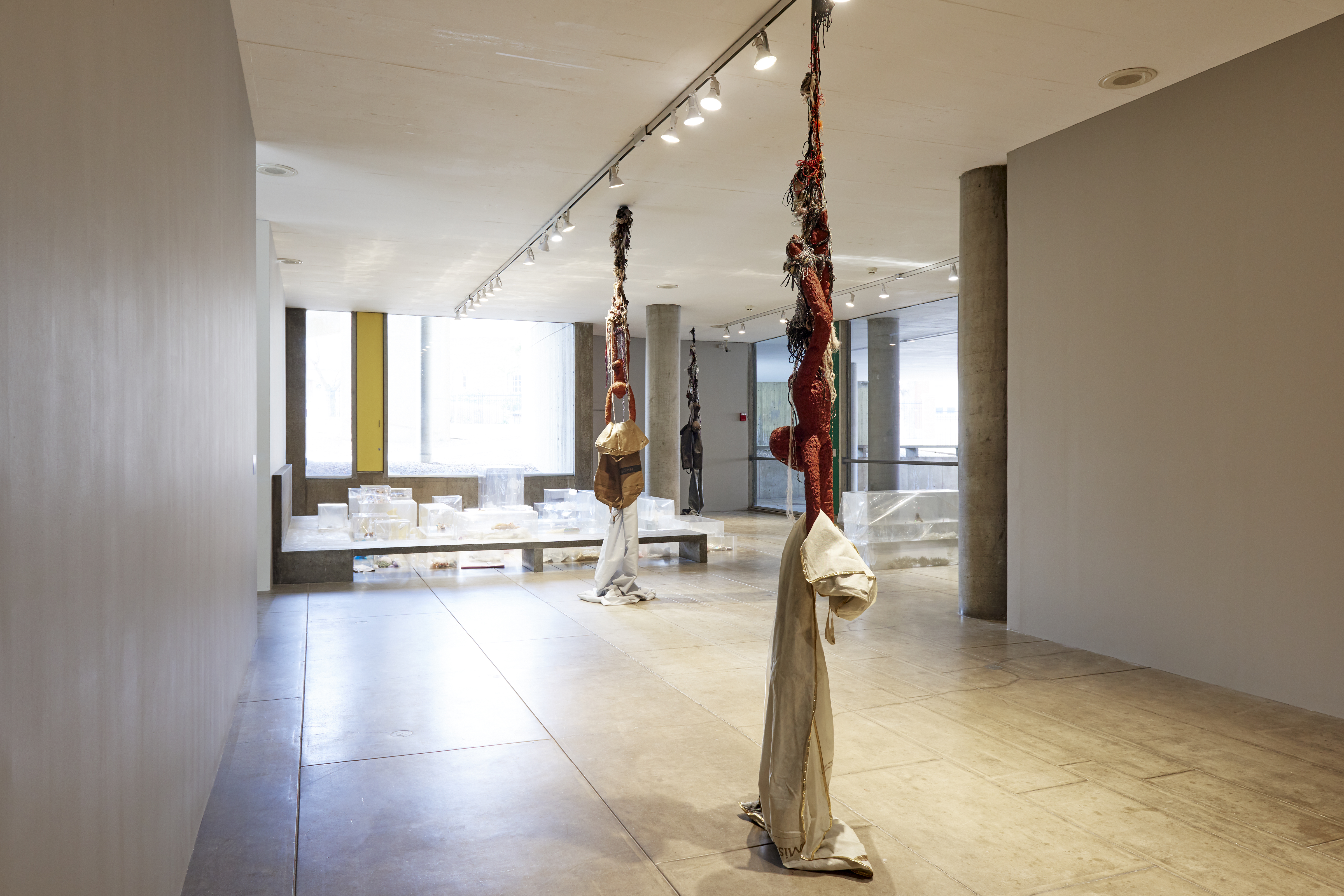“Blowout” is at the Carpenter Center for the Visual Arts through March 24.