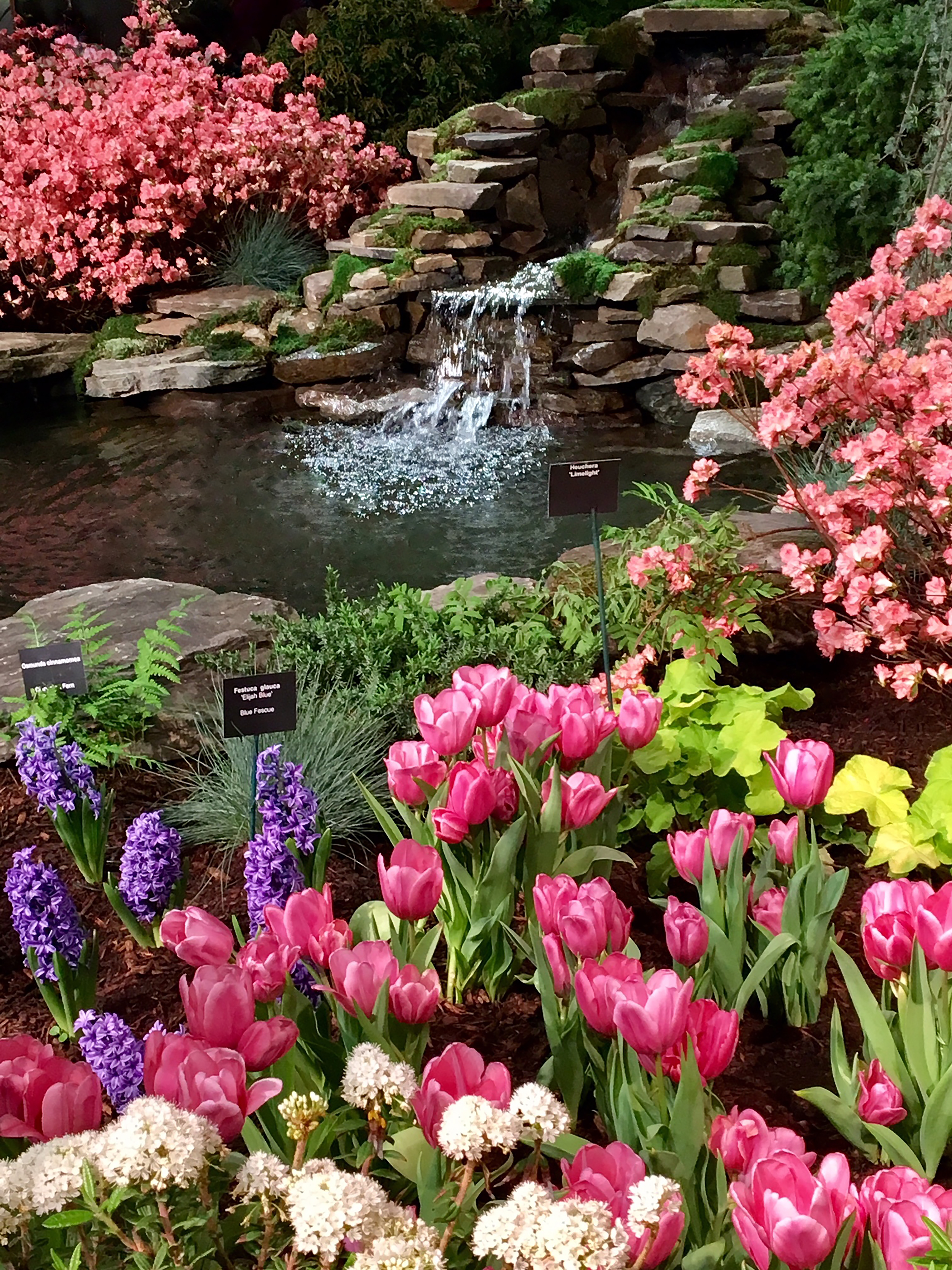 The colorful Boston Flower Show is at the Seaport World Trade Center from March 13-17.