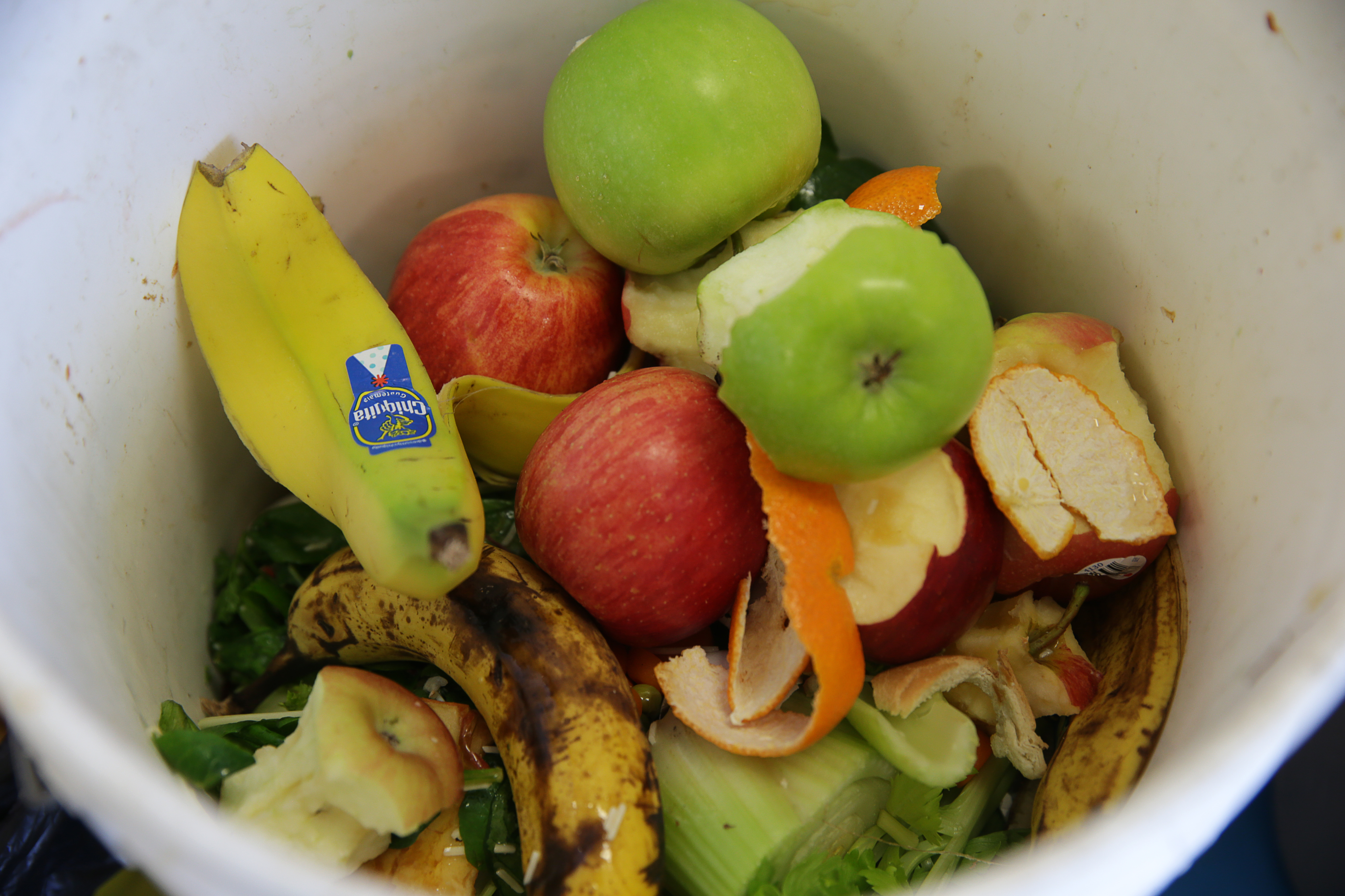 Some of the compostable discards collected after lunch.
