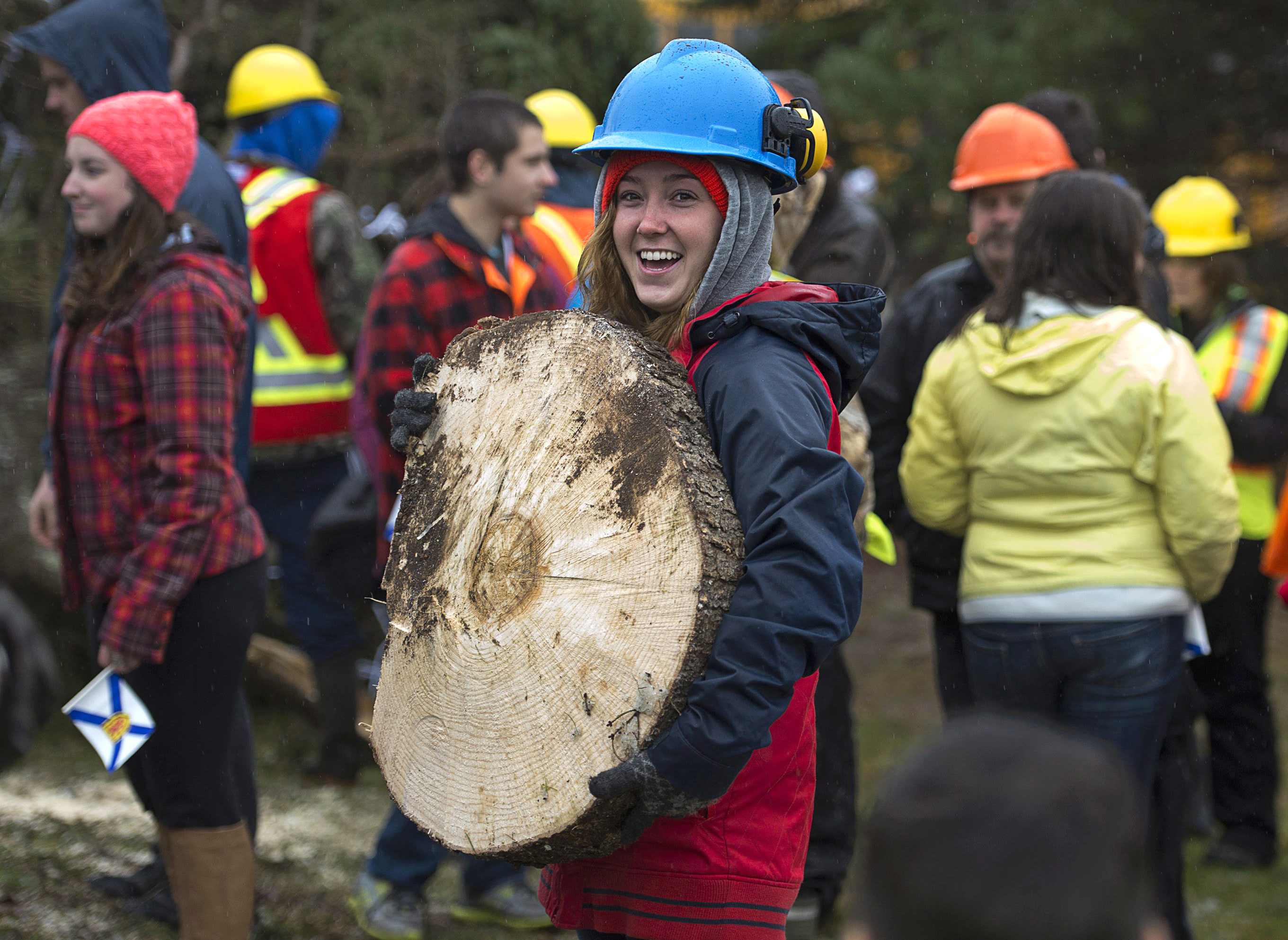 Kaitlyn Cann, a student at Nova Scotia Community College, held a slice of a 43-foot-high white spruce that was cut down Monday to be shippd south from Antigonish, Nova Scotia, to Boston.
