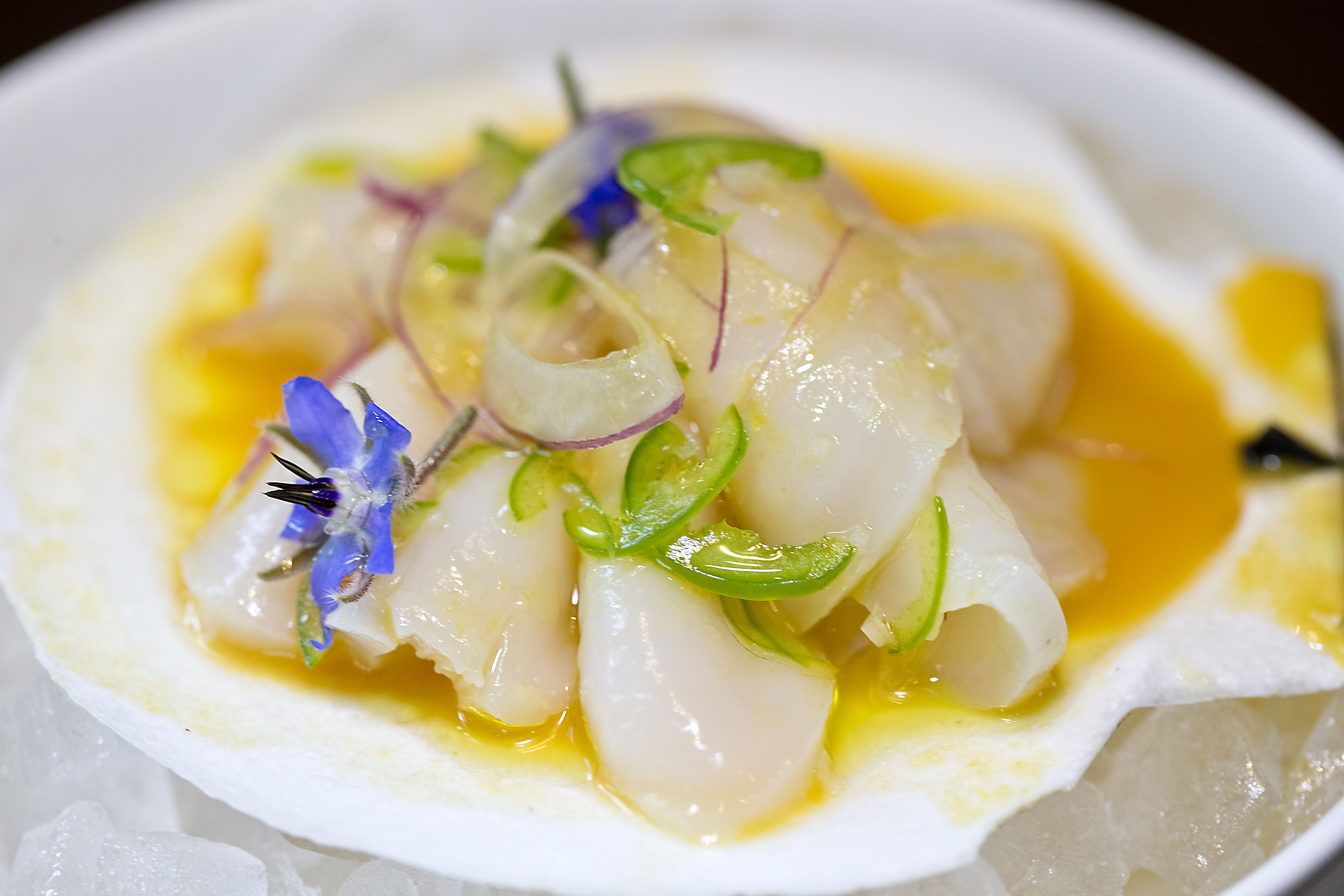 Live scallop crudo at Bar Mezzana in the Ink Block development in the South End.