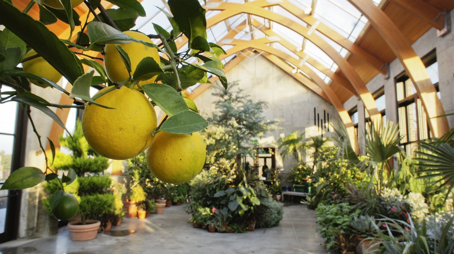 Greenhouses and garden centers west of Boston The Boston Globe