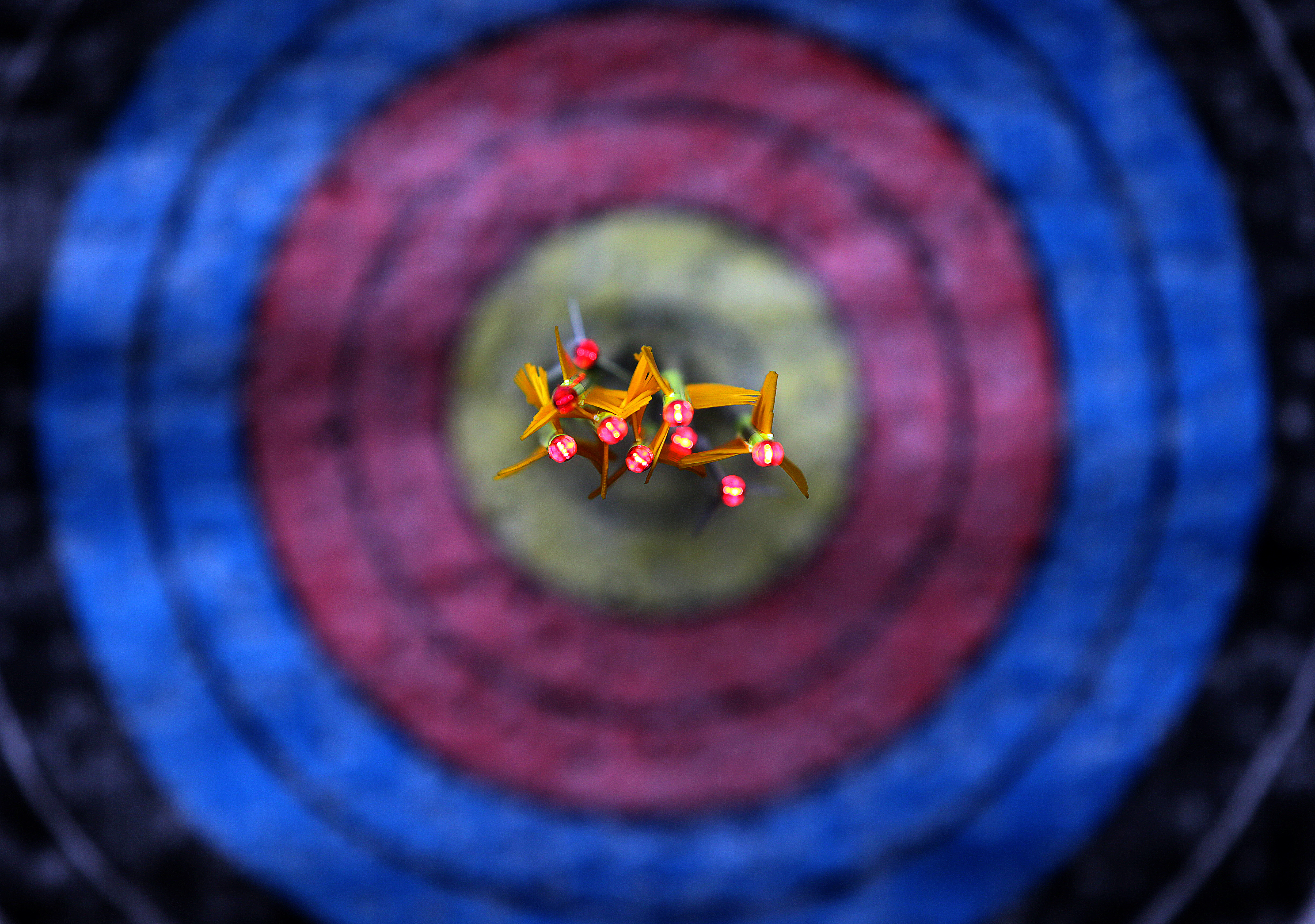 In late spring 2013, Callanan, without practicing and admittedly struggling to pull his bow string back, won a World Cup qualifier by 50 points.