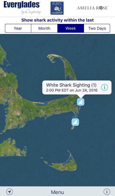 The app lets users know where there have been shark sightings.