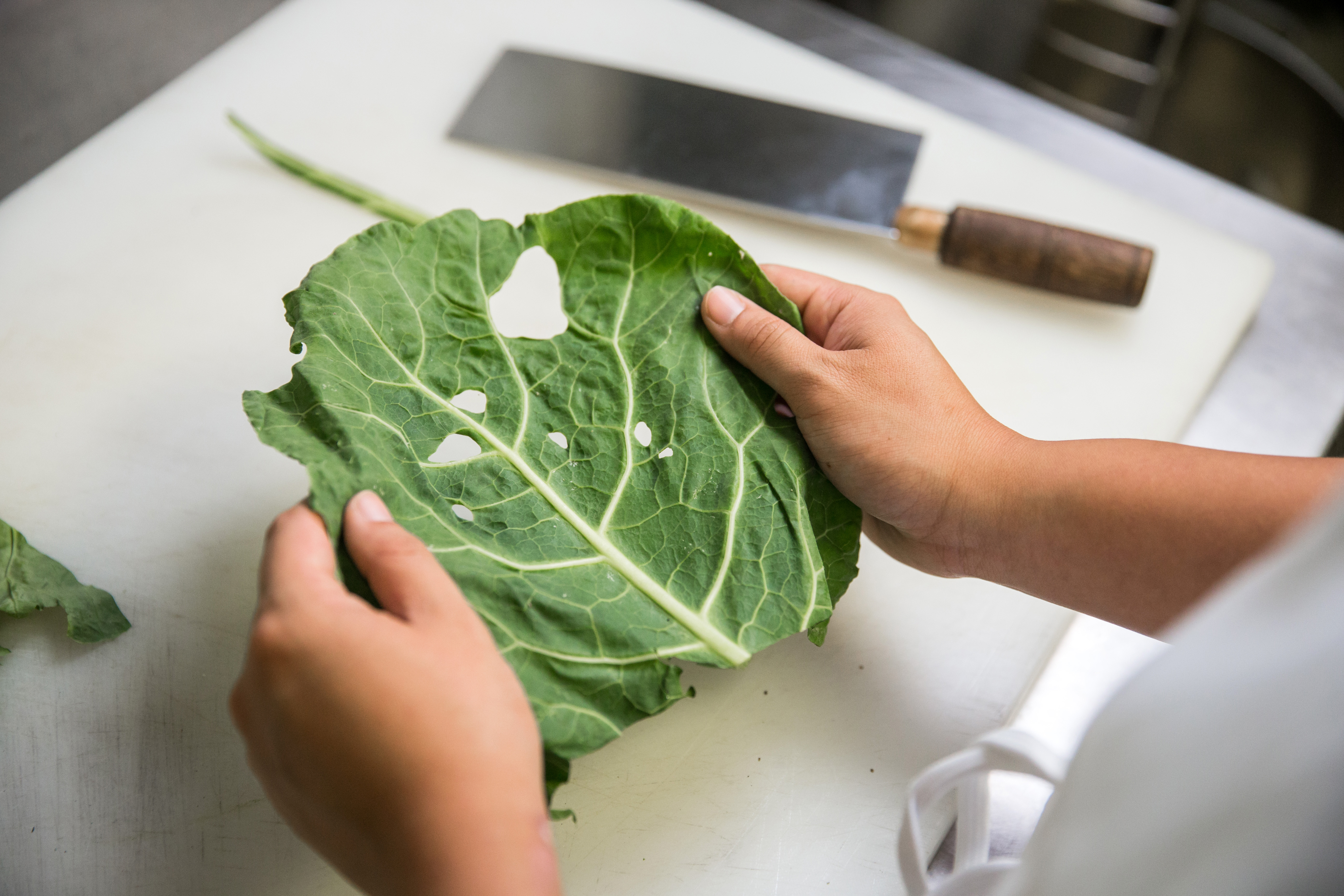 At Mei Mei, Irene Li won’t use a visually unappealing collard green on a plate, but she’ll happily chop it for the restaurant’s signature pesto sauce.