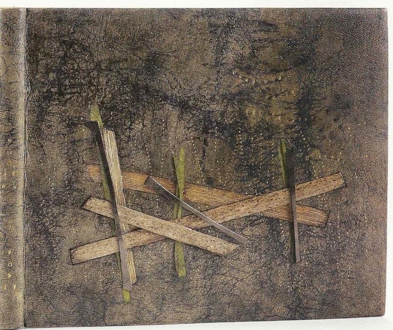 Binding by Coleen Curry. Henry David Thoreau. Of Woodland Pools, Spring-Holes and Ditches. Illustrated by Abigail Rorer. Lone Oak Press: Petersham, MA, 2005.