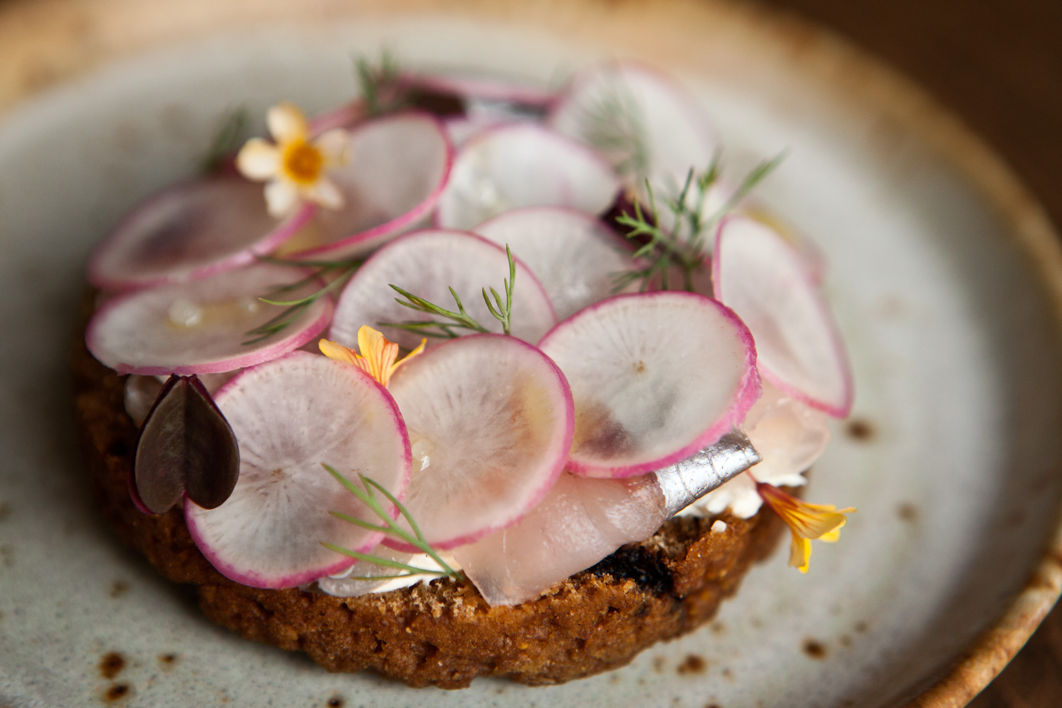 Soused fish with brown bread at Loyal Nine.