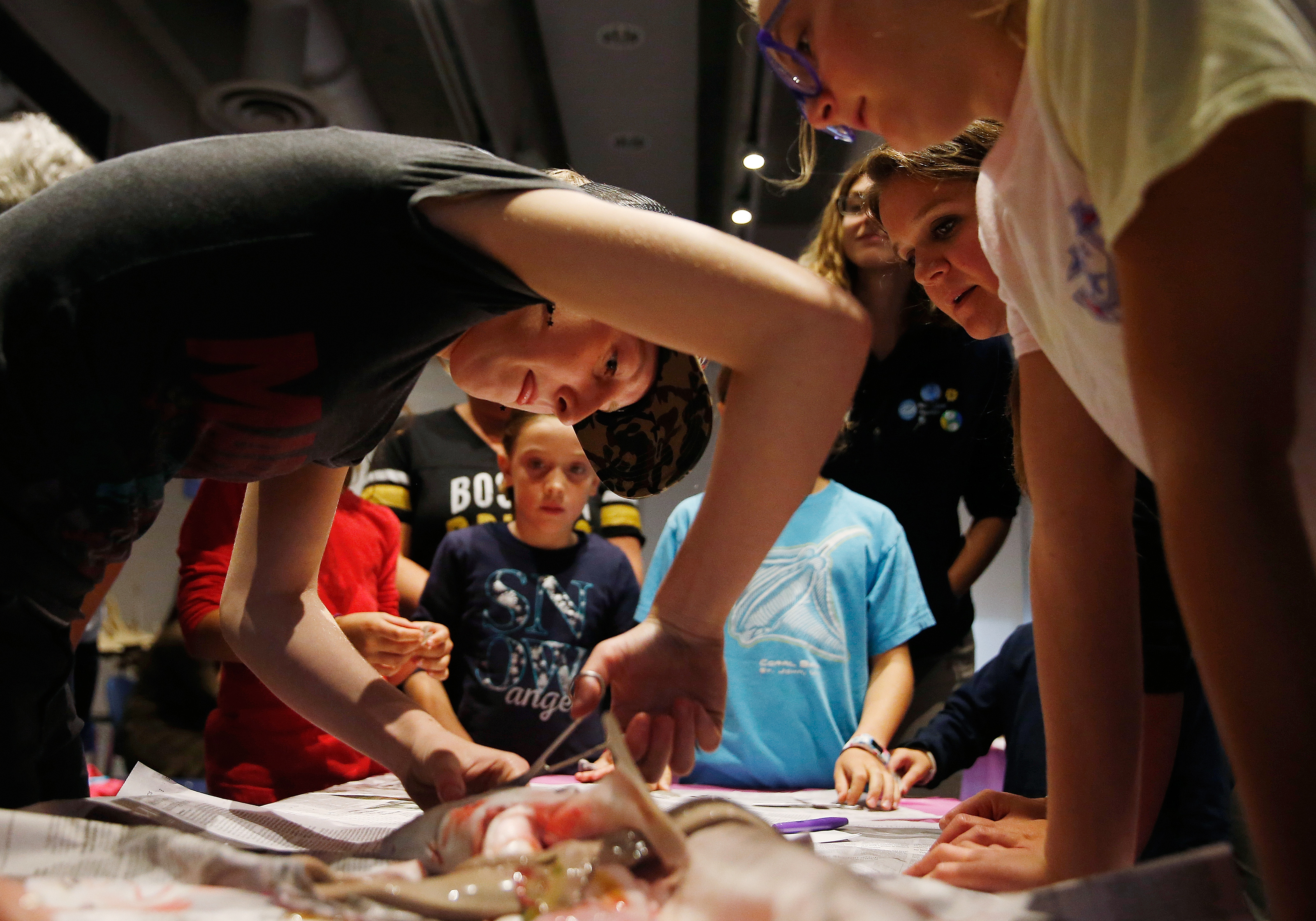 Lucy Minich, 13, of Scitute (left) cut out the eye of a dogfish shark.