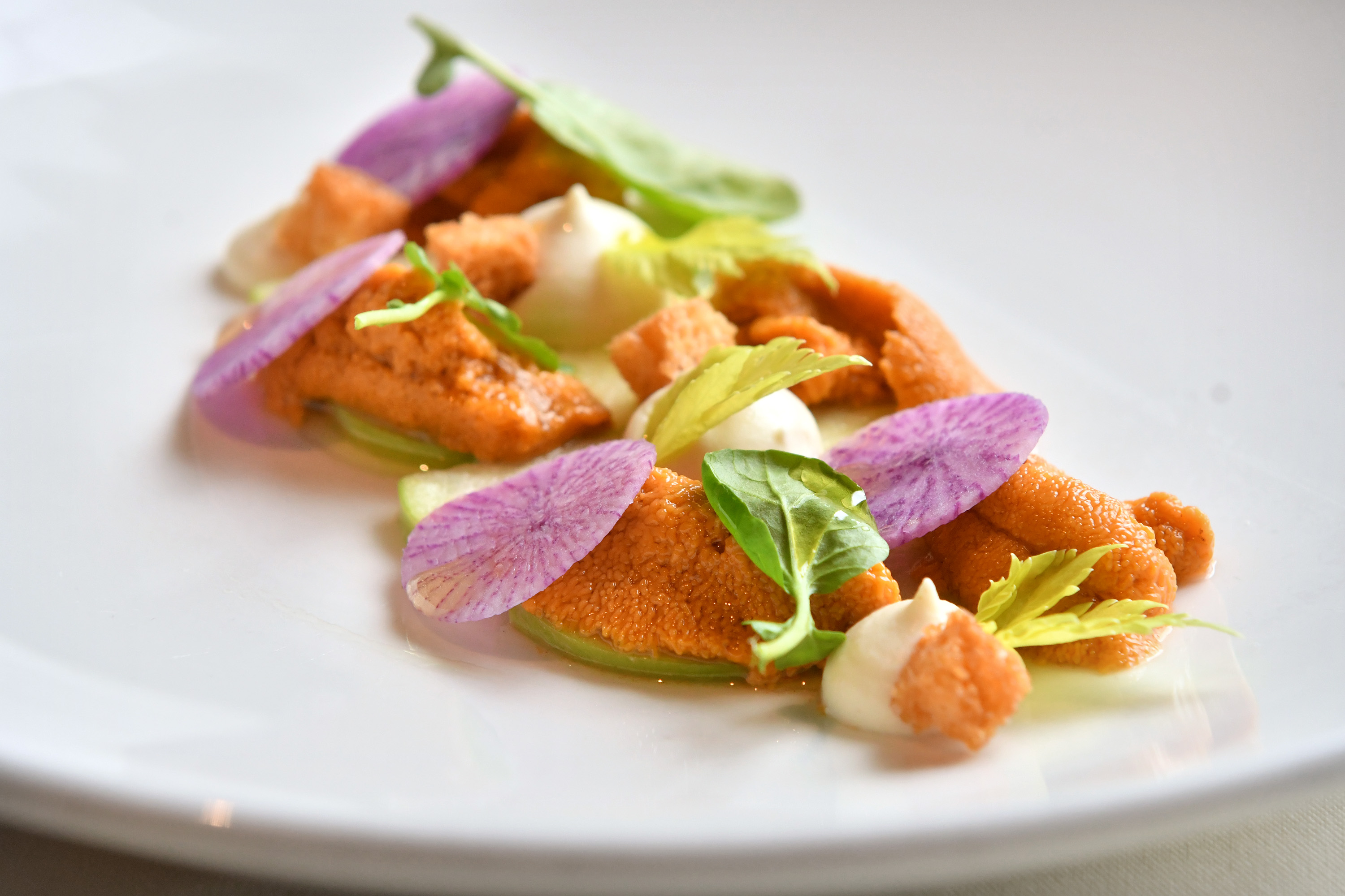Maine sea urchin at Harvest.