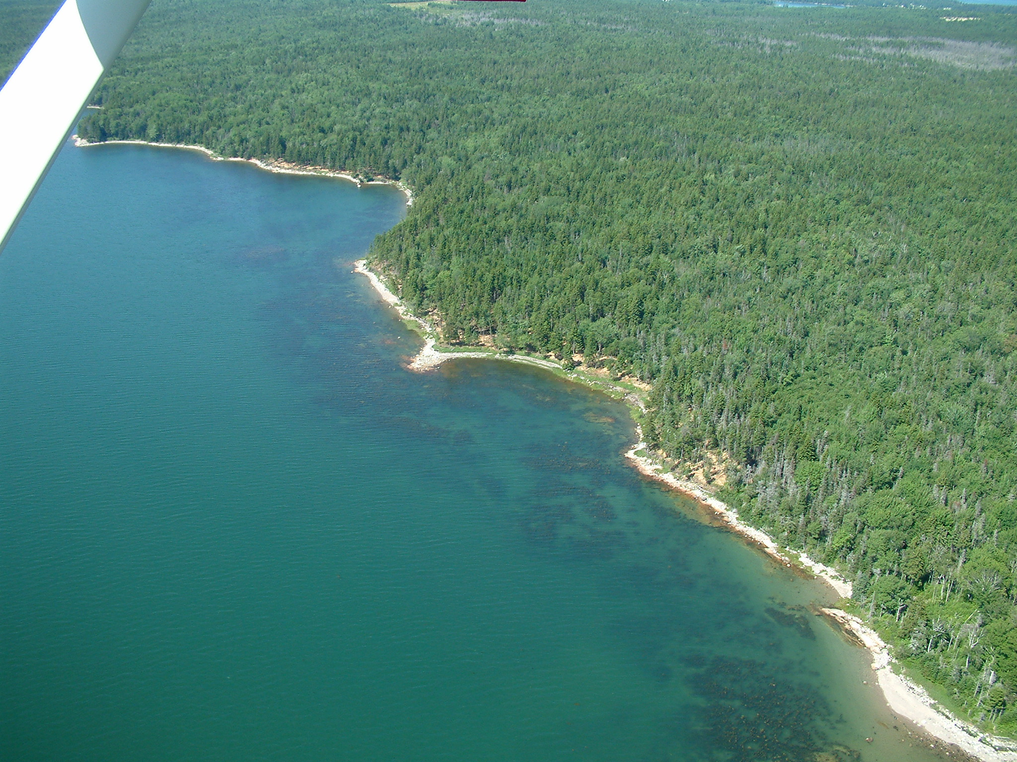 An aerial view shows the secluded, tree-lined area