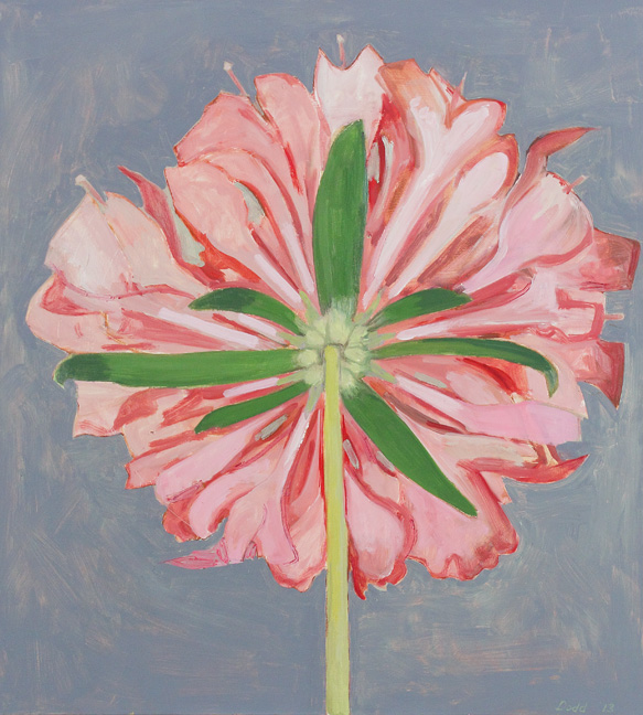 Lois Dodd, “Pink Scabiosa, Back View,” 2013.