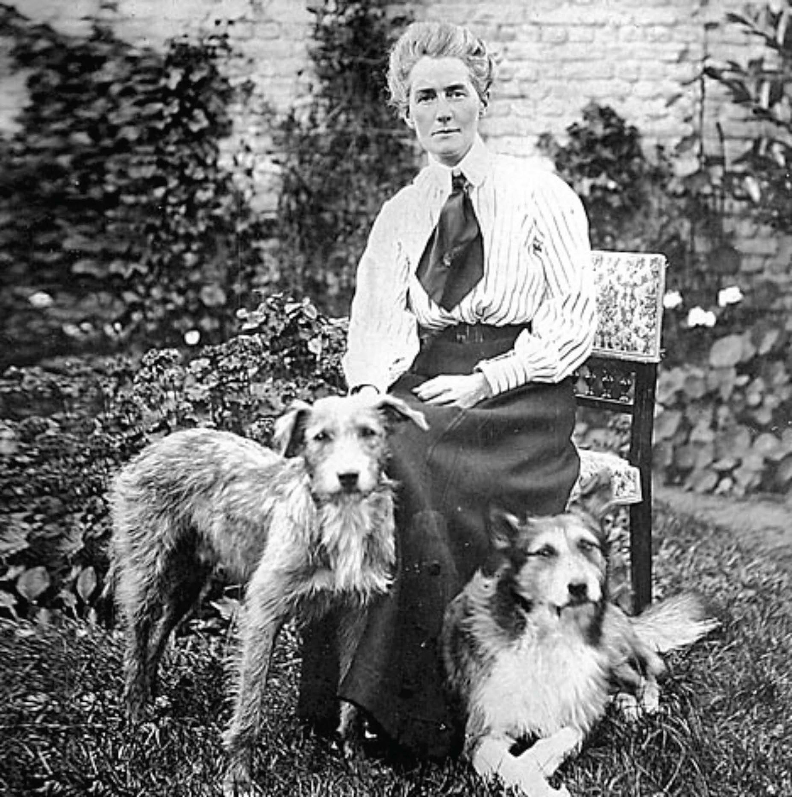 East Falmouth author Terri Arthur’s historical novel has brought to a wider audience the story of Edith Cavell, a nurse who was executed by German authorities during World War I for aiding Allied soldiers.