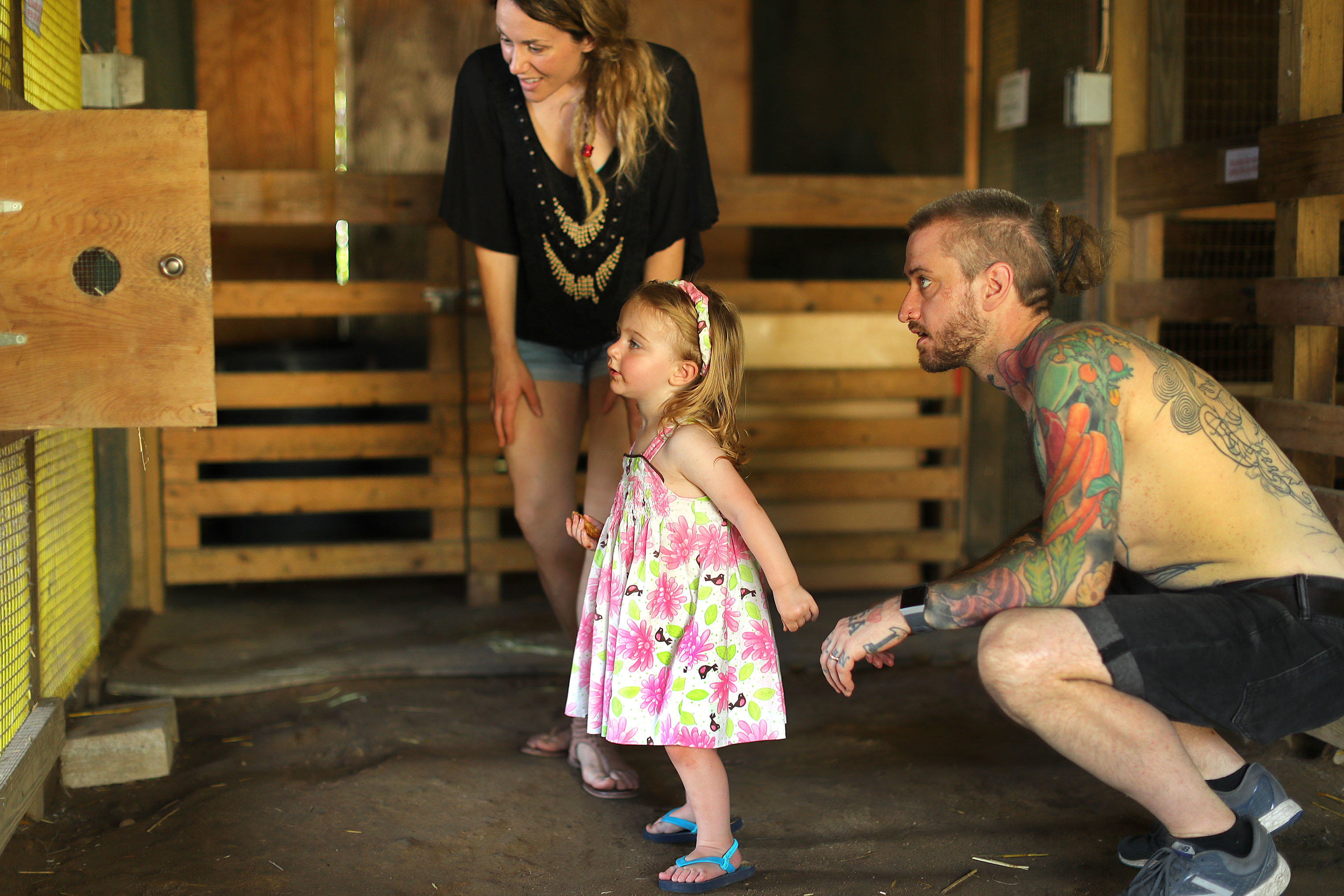 Brandon Baltzley, his wife, Laura Higgins-Baltzley, and their daughter, Faunus, check out a chicken in a coop.