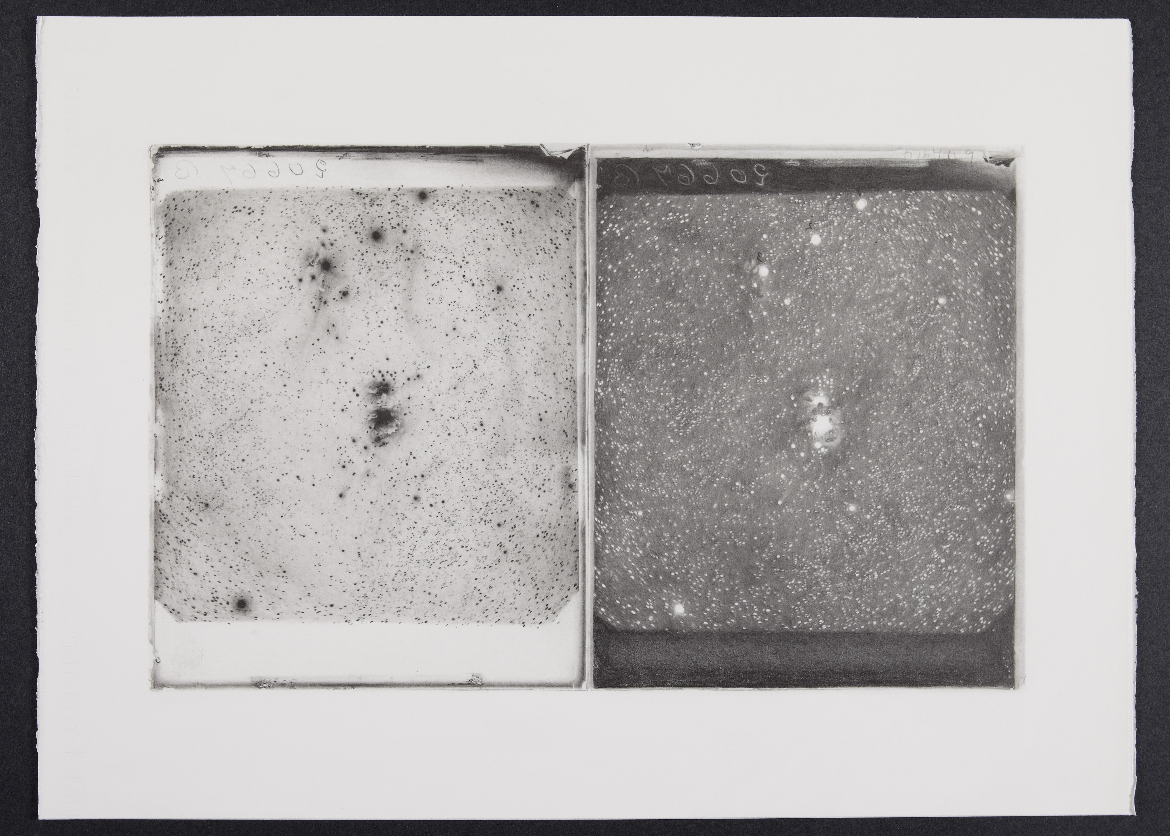 Negative and Positive Plates B20667 and D16409, Nebula in Orion, Oct 26, 1897 2018, pencil on paper, 22×30 in.