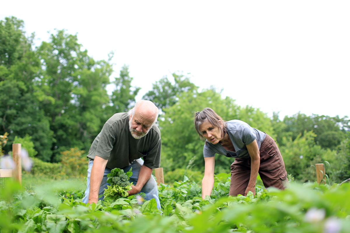 Steve Norris, shown gardening with his wife, Kendall Hale, is a professor of environmental justice at Warren Wilson College in North Carolina. Recent redistricting leaves left-leaning denizens of Asheville with little hope for change.