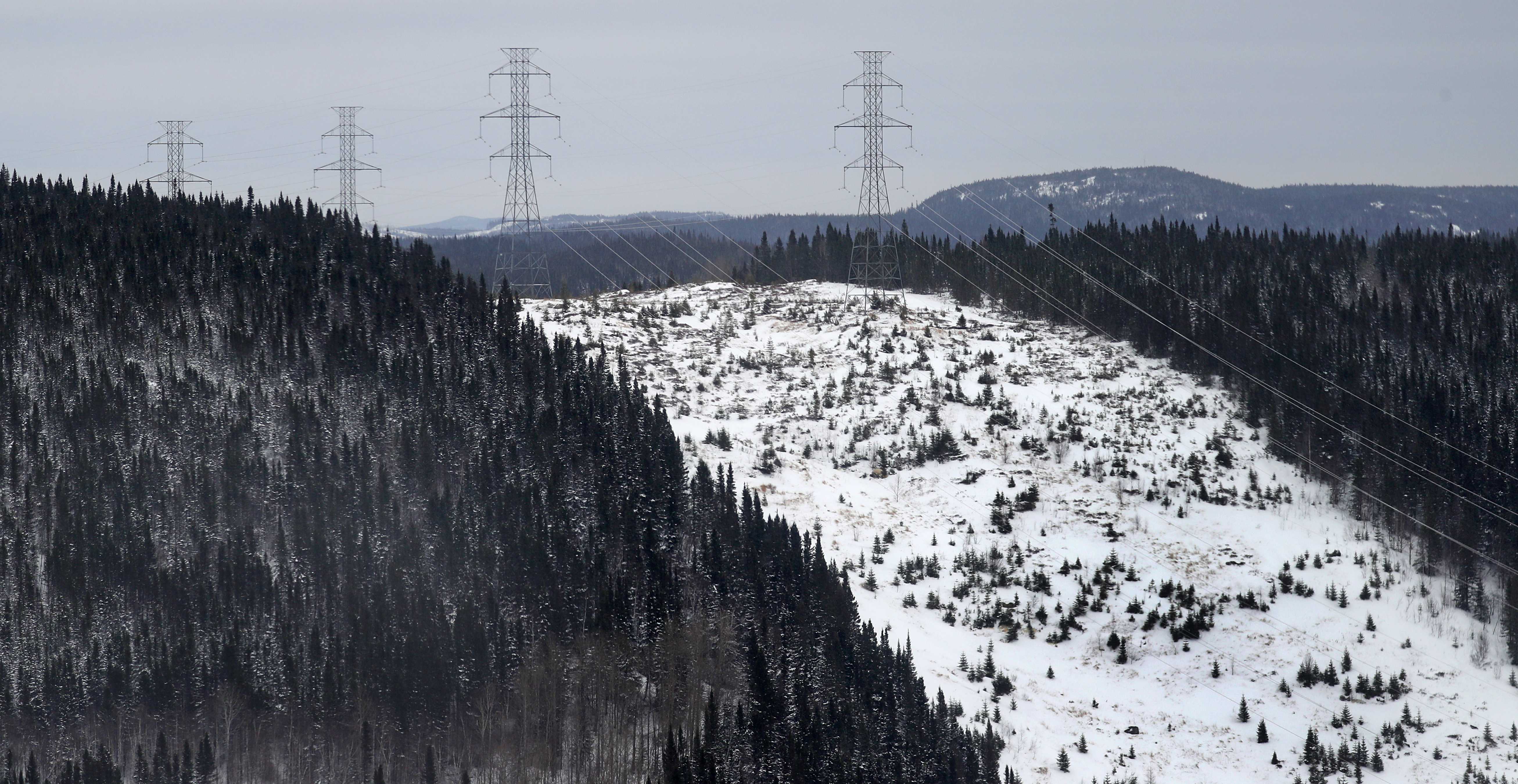 Pylone power lines cut through the mountains and forest from the hydroelectric power stations.