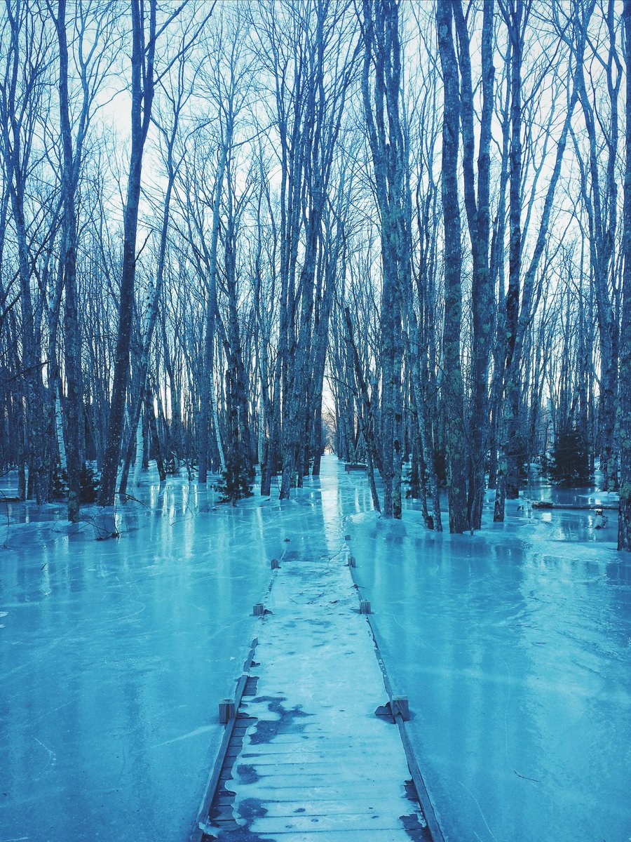 Trails at Acadia National Park were frozen solid over the weekend.