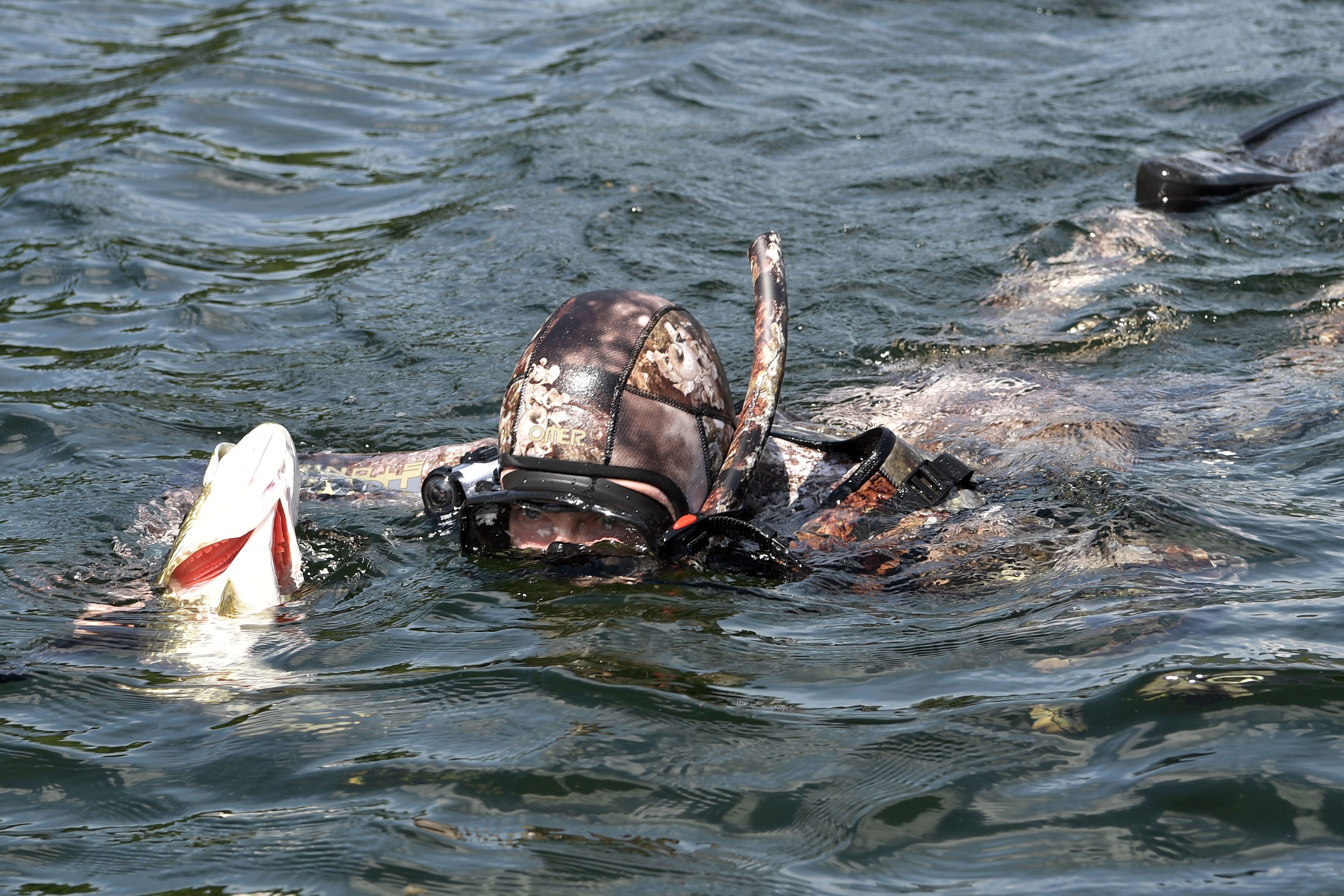 Putin also hunted fish underwater.