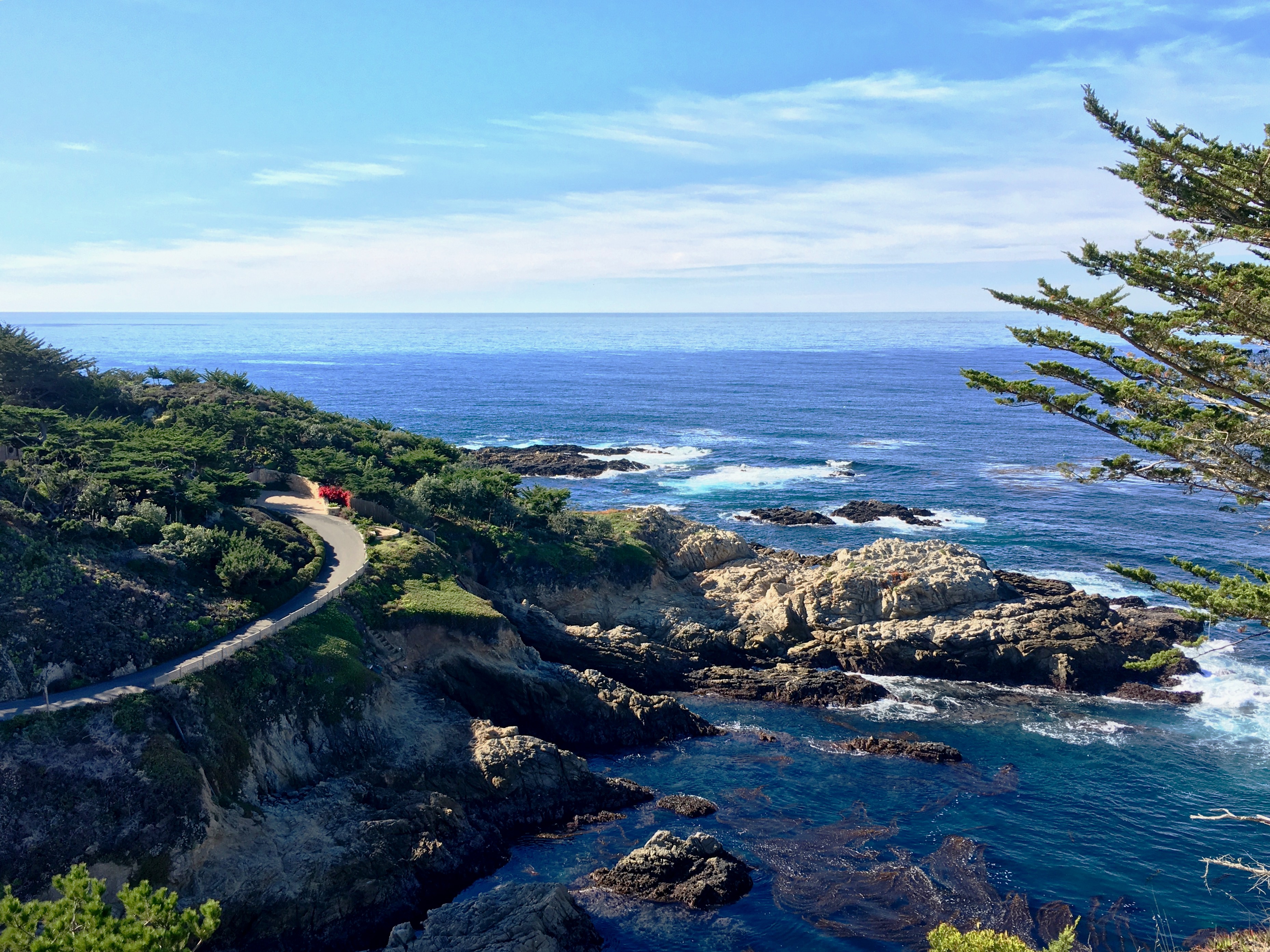 The Pacific view from Route 1 in Carmel, Calif.