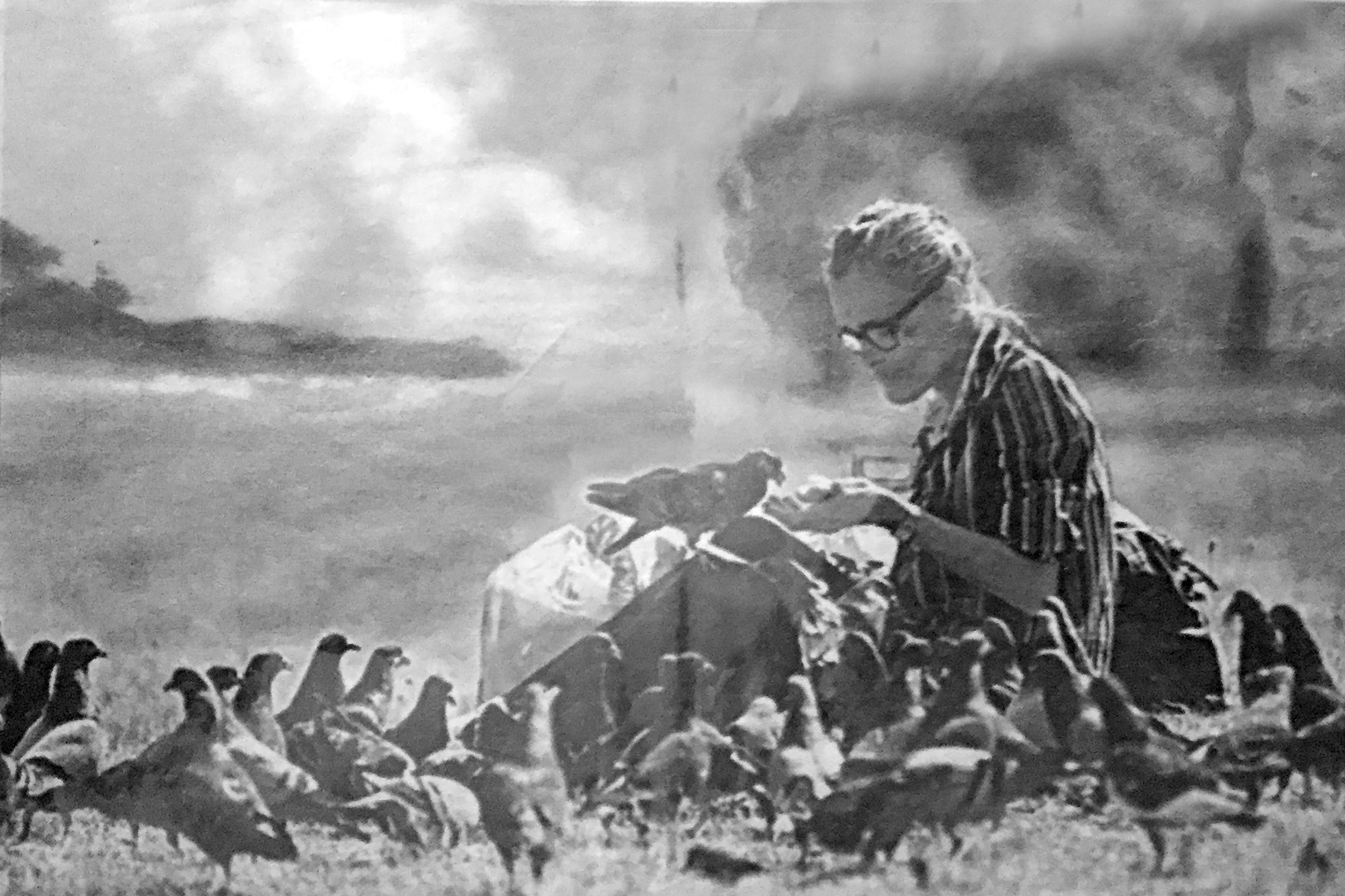 Cambridge Fixture Dorothy Steele S Life Of Warmth The Boston Globe