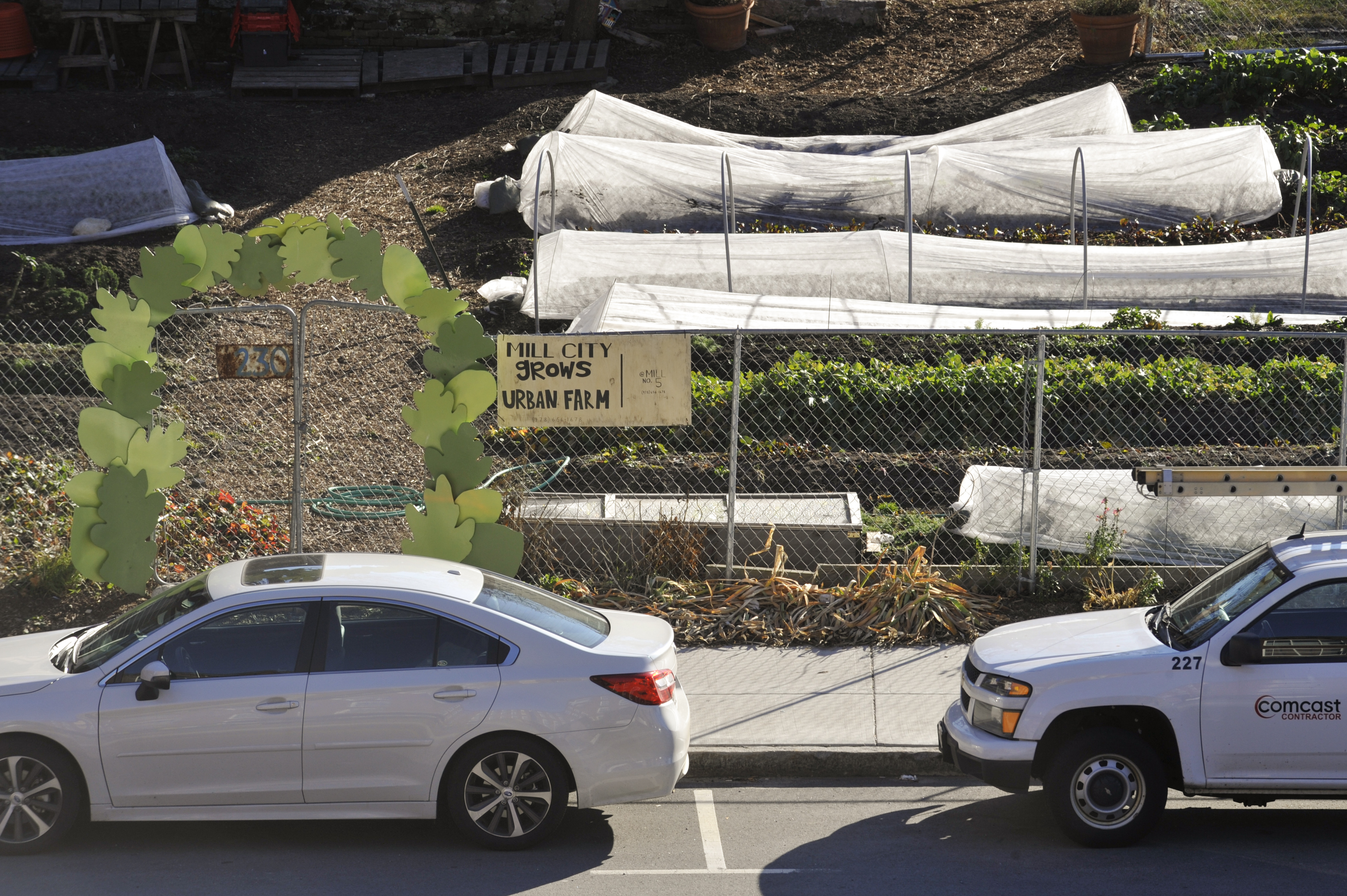 Mill City Grow maintains a small urban food plot across the street from its farmers market location.