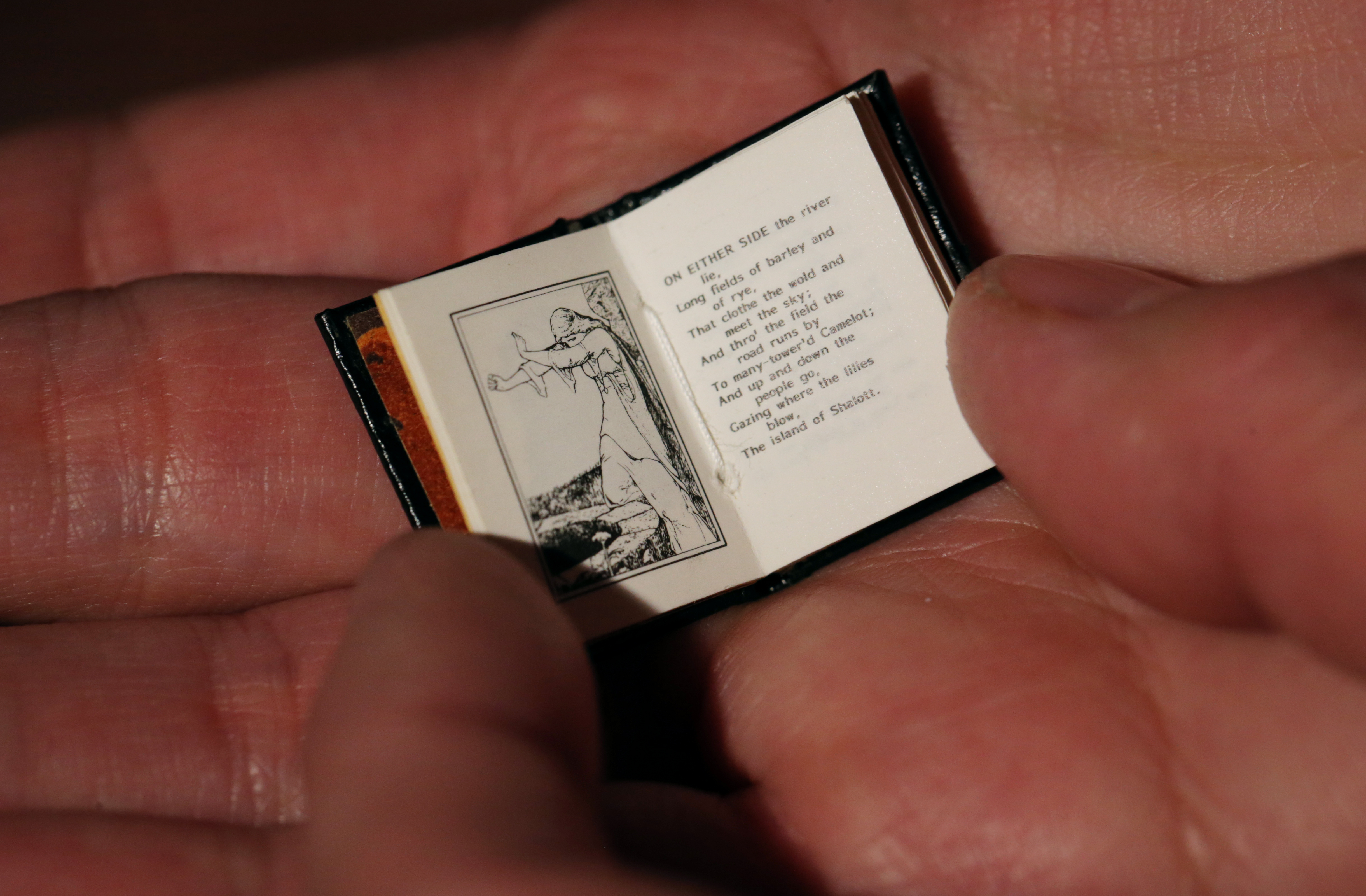 A book from the dollhouse.