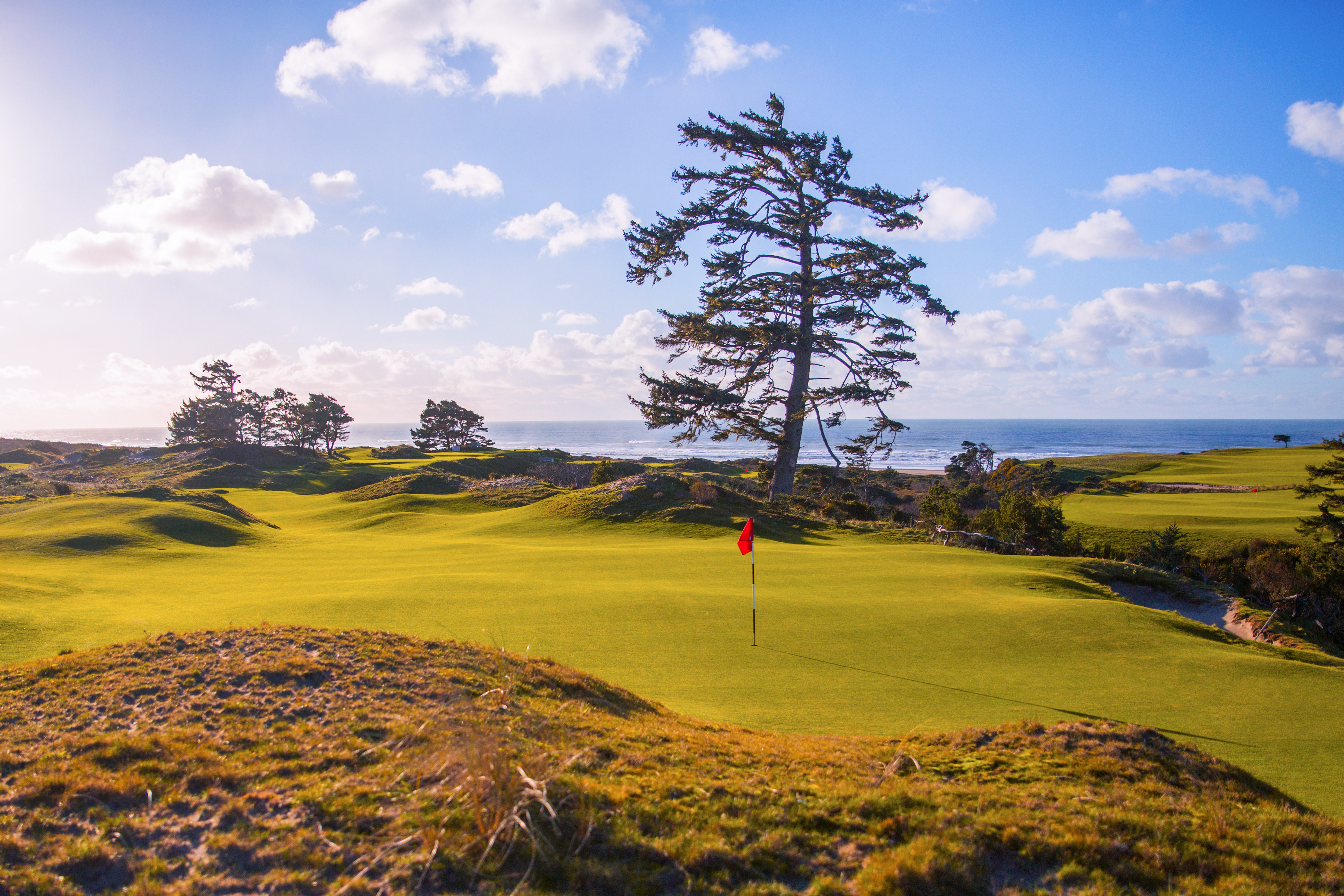 The 11th green at Bandon Preserve, a 13-hole par-3 course at Bandon Dunes Golf Resort.