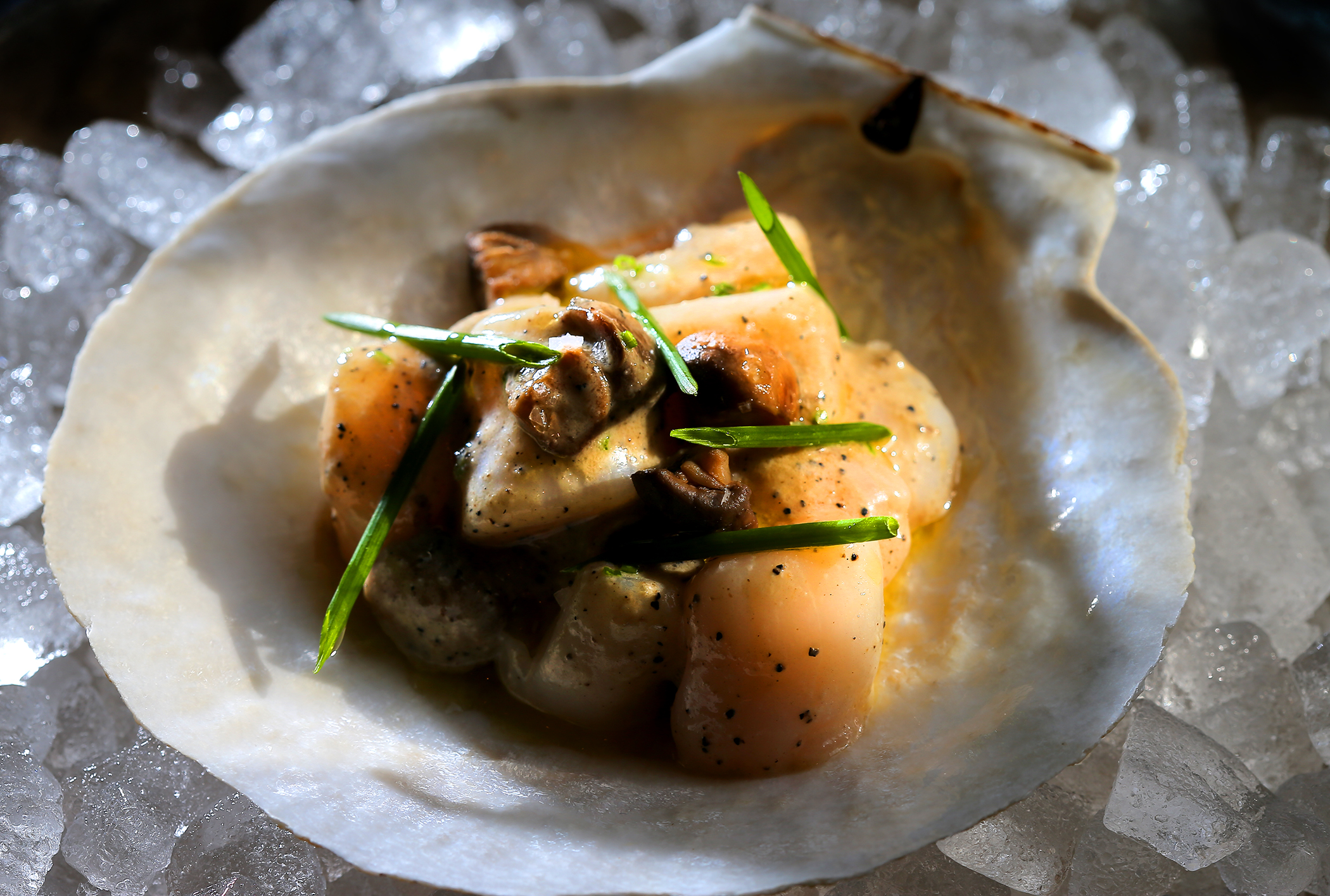 Bay scallops with truffle.