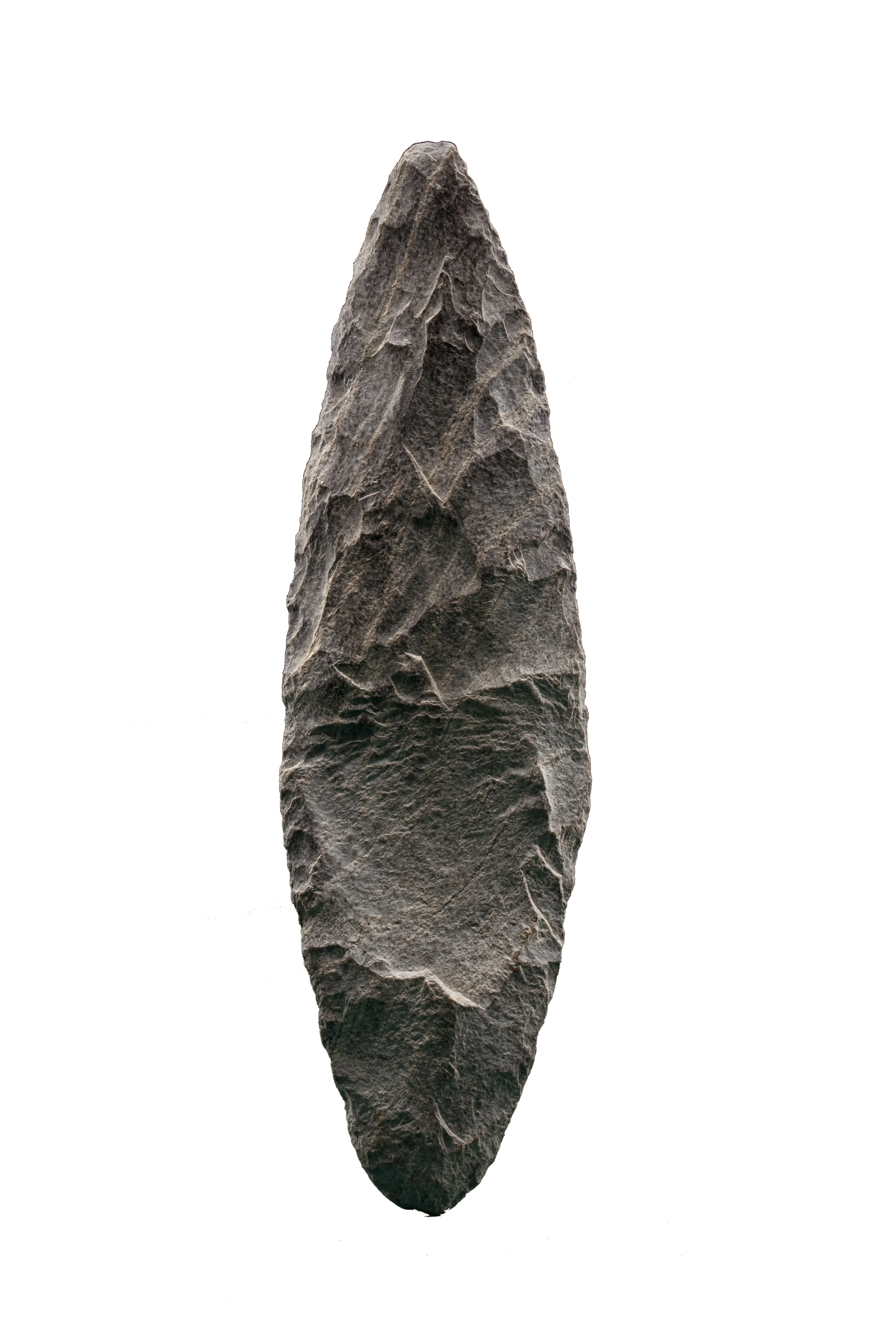 This biface lithic blade, under investigation by Dr. Dennis Stanford, was found in 1970 by Thurston Shawn of Hampton, Virginia, when he dredged it and several pieces of mastodon tusk and teeth up while dredging for scallops 40 miles off the coast.