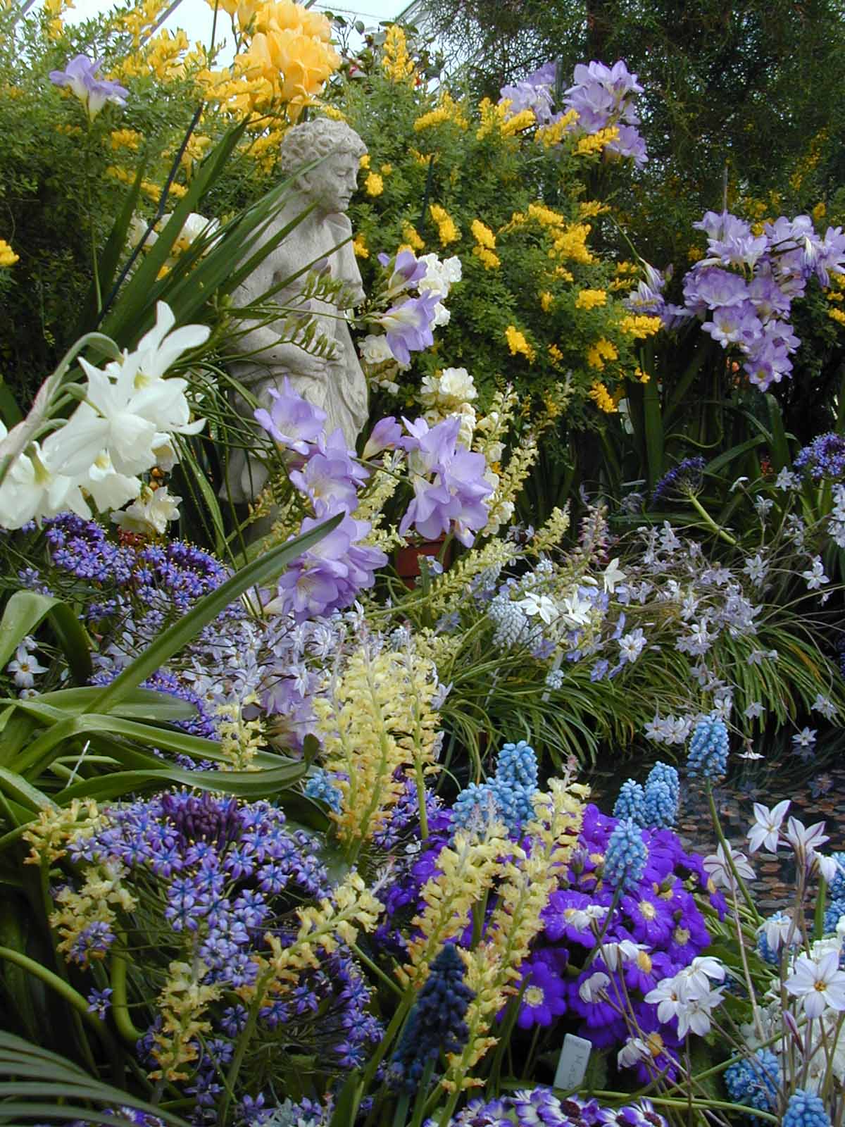 The annual <b>Smith College Bulb Show</b> is at Lyman Conservatory, March 2-17.