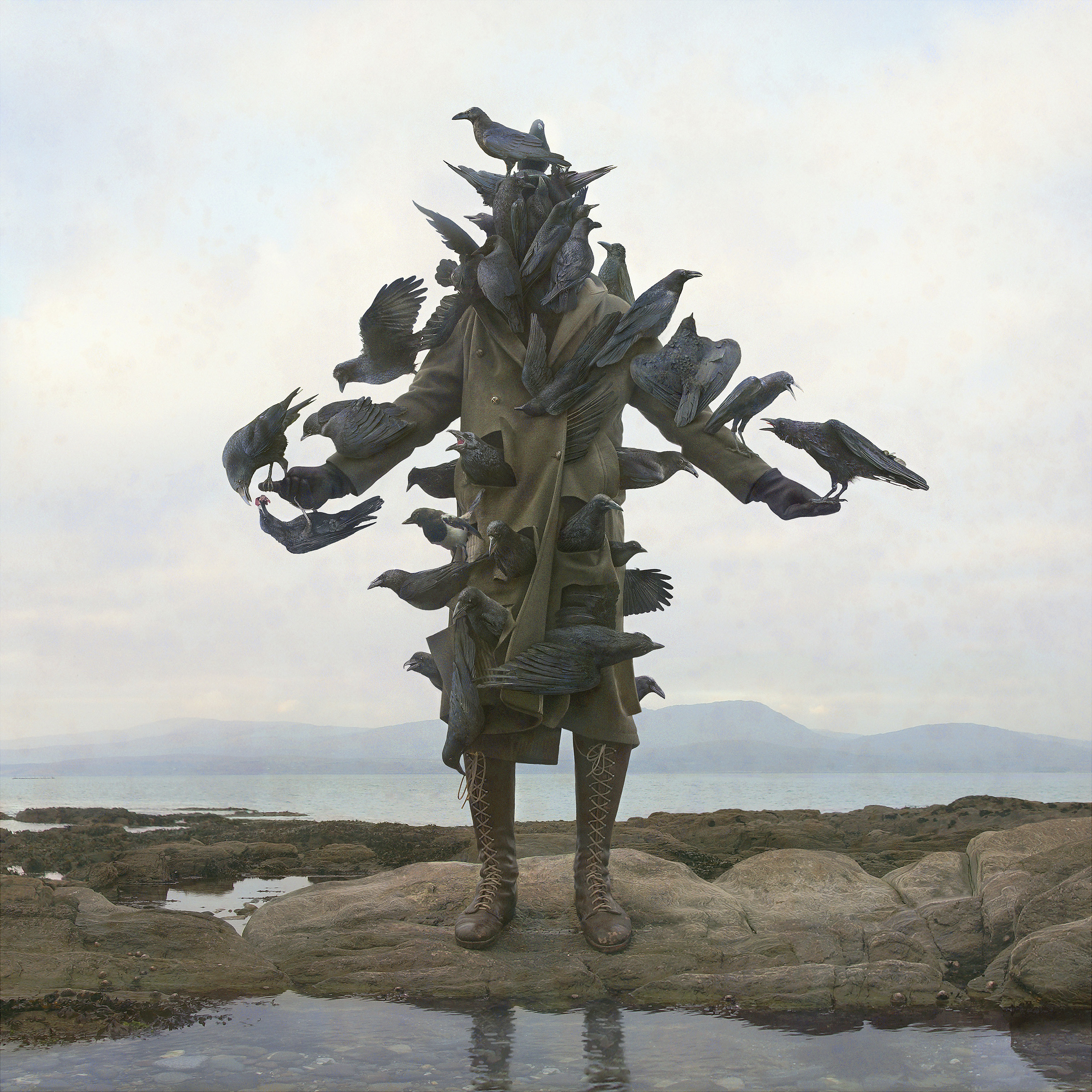 Nicholas Kahn and Richard Selesnick’s “King of the Birds”