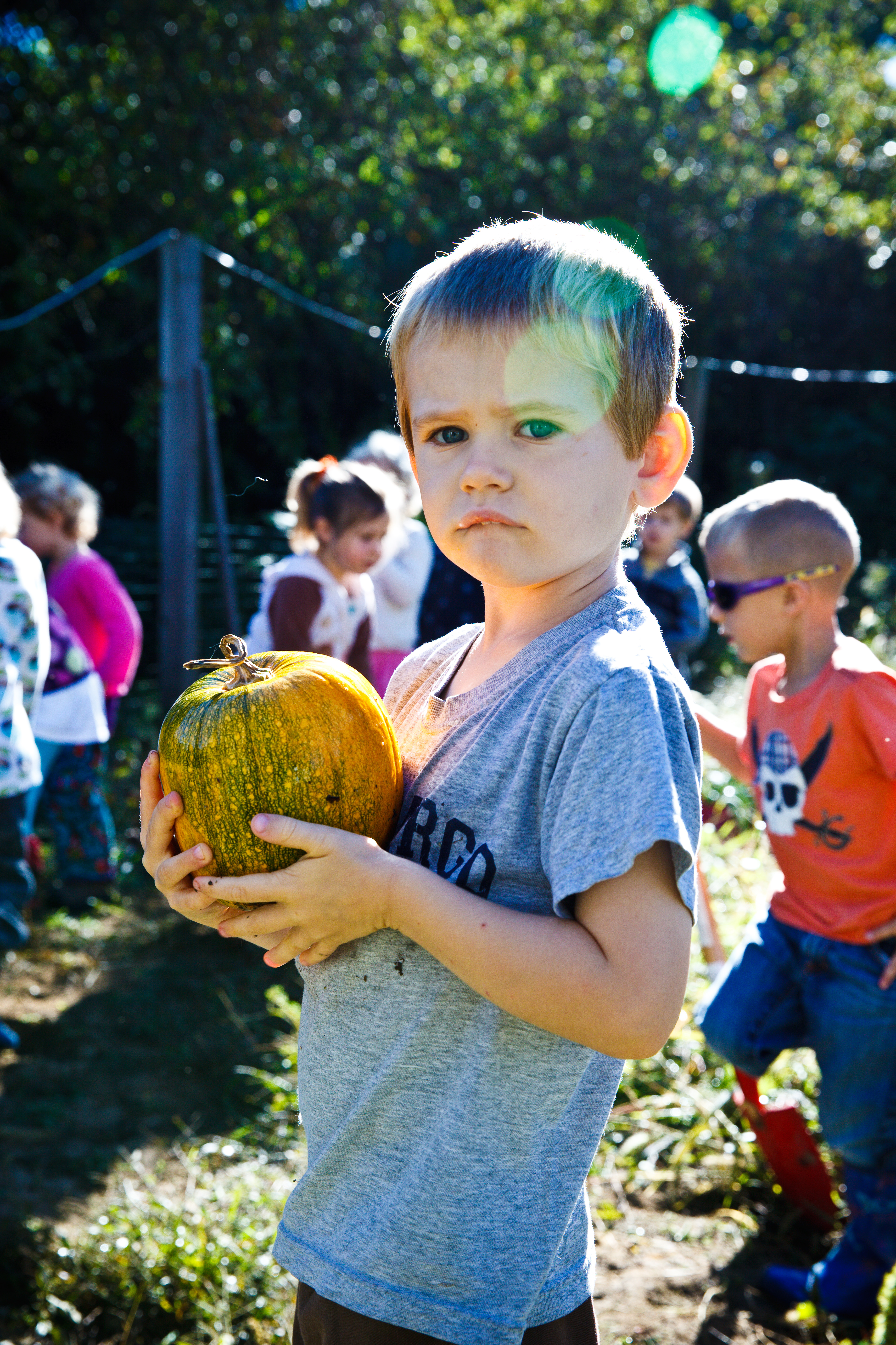 Researchers found absences from sickness to be 5 percent lower in nature preschools than traditional schools.