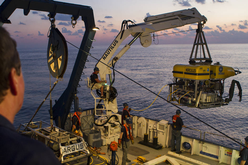 The crew of the E/V Nautilus recently lowered the remotely operated vehicle know as Hercules into the Pacific Ocean, as part of an effort to look for life along a submerged volcano off Hawaii.