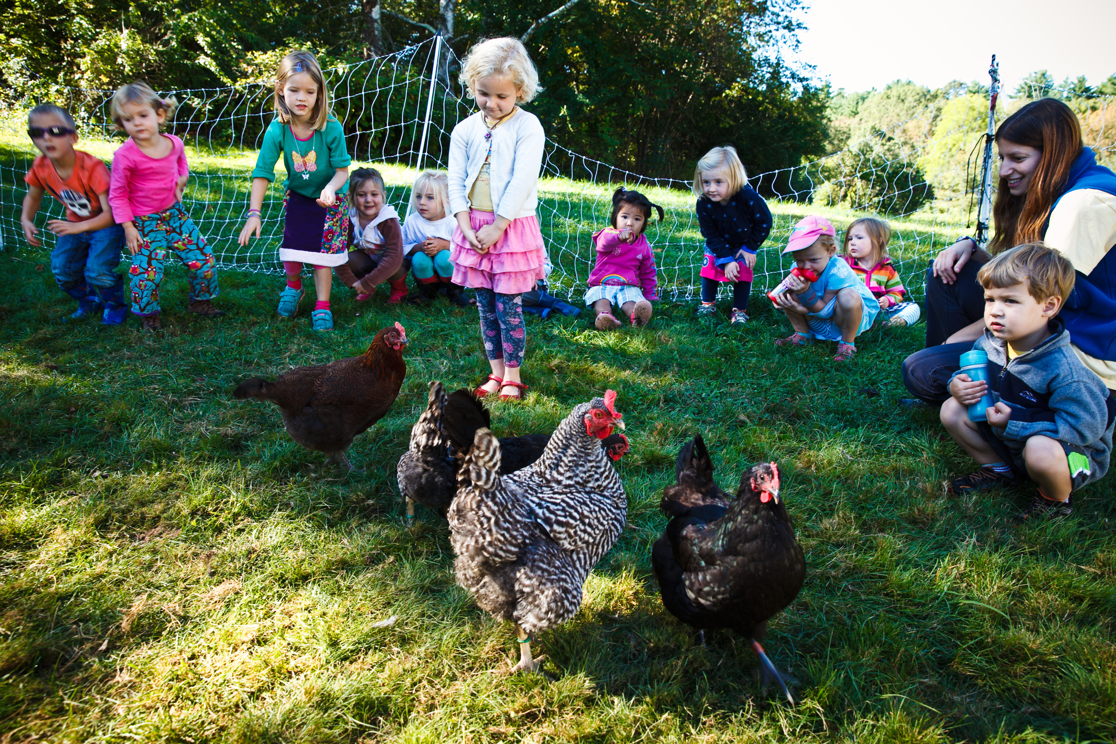 Growing interest in nature preschools is “a response to the digitization of children’s lives,” says educator David Sobel.