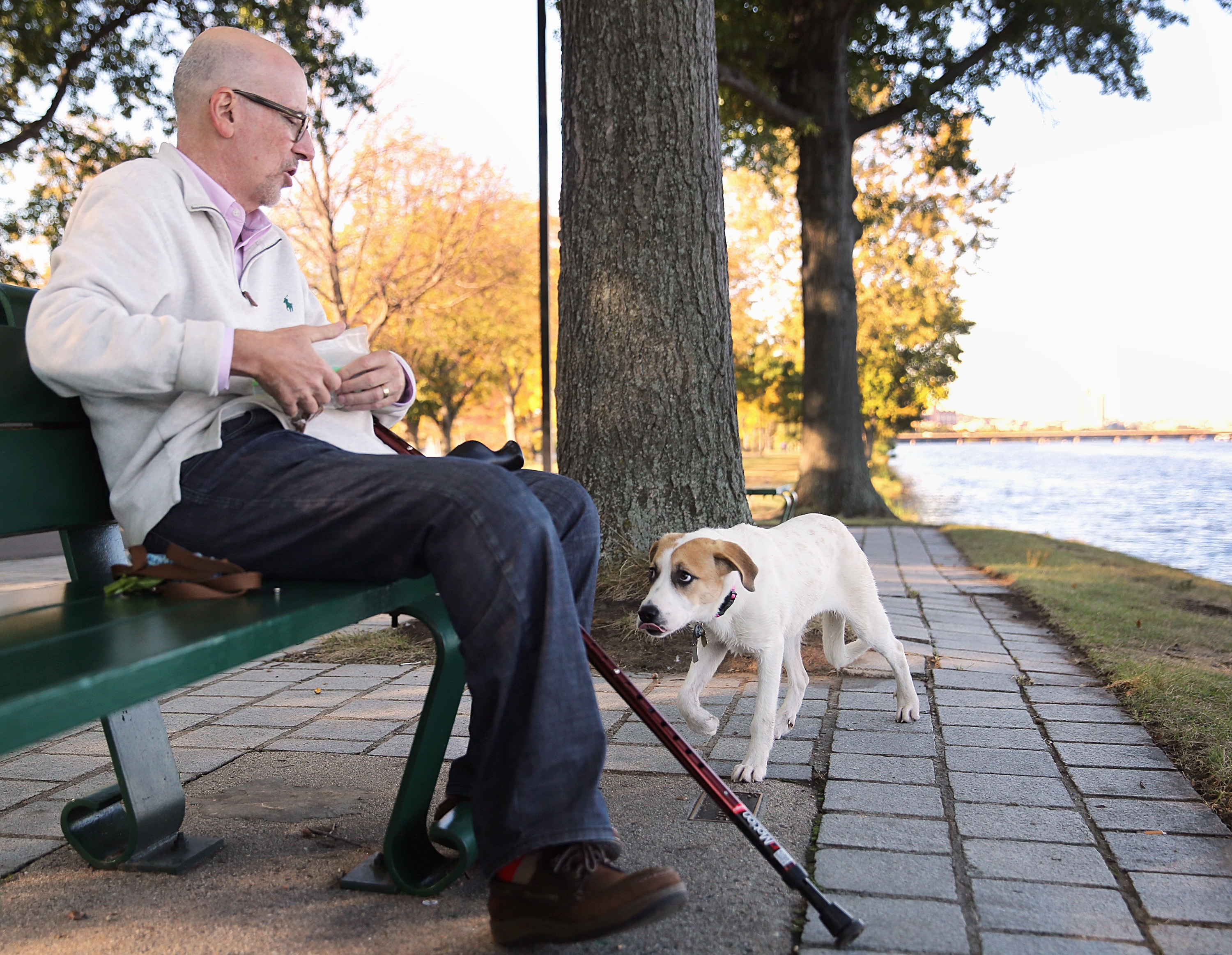 Jeff Schwartz paused to give Mandy a treat along the Esplanade.