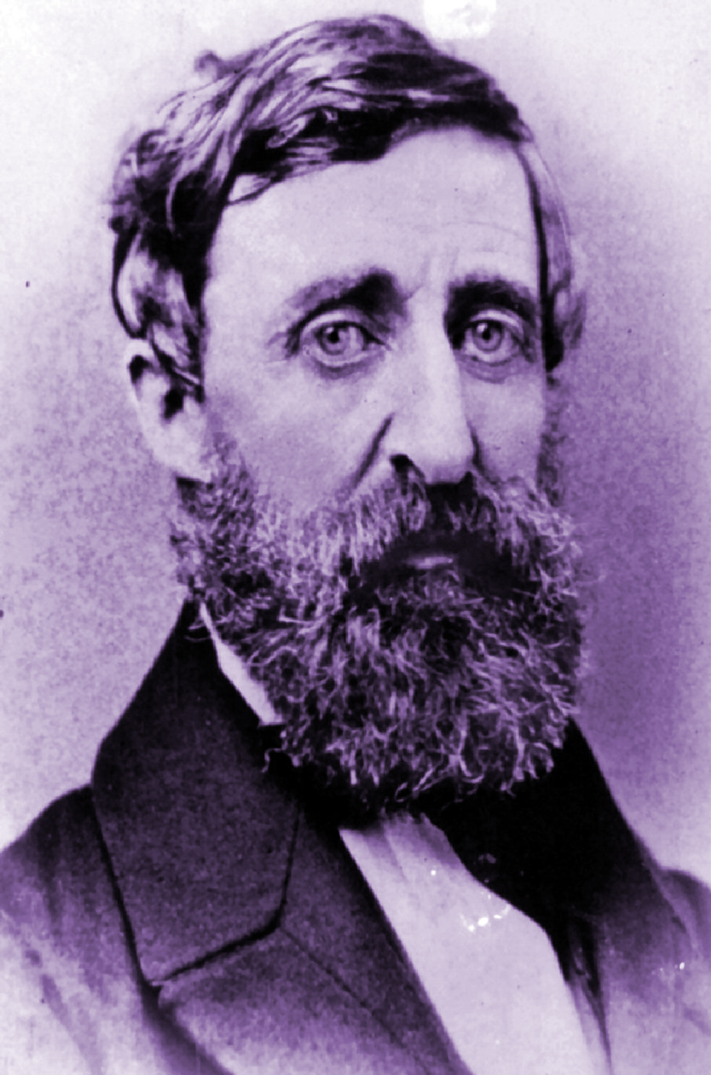 Henry David Thoreau, 1861