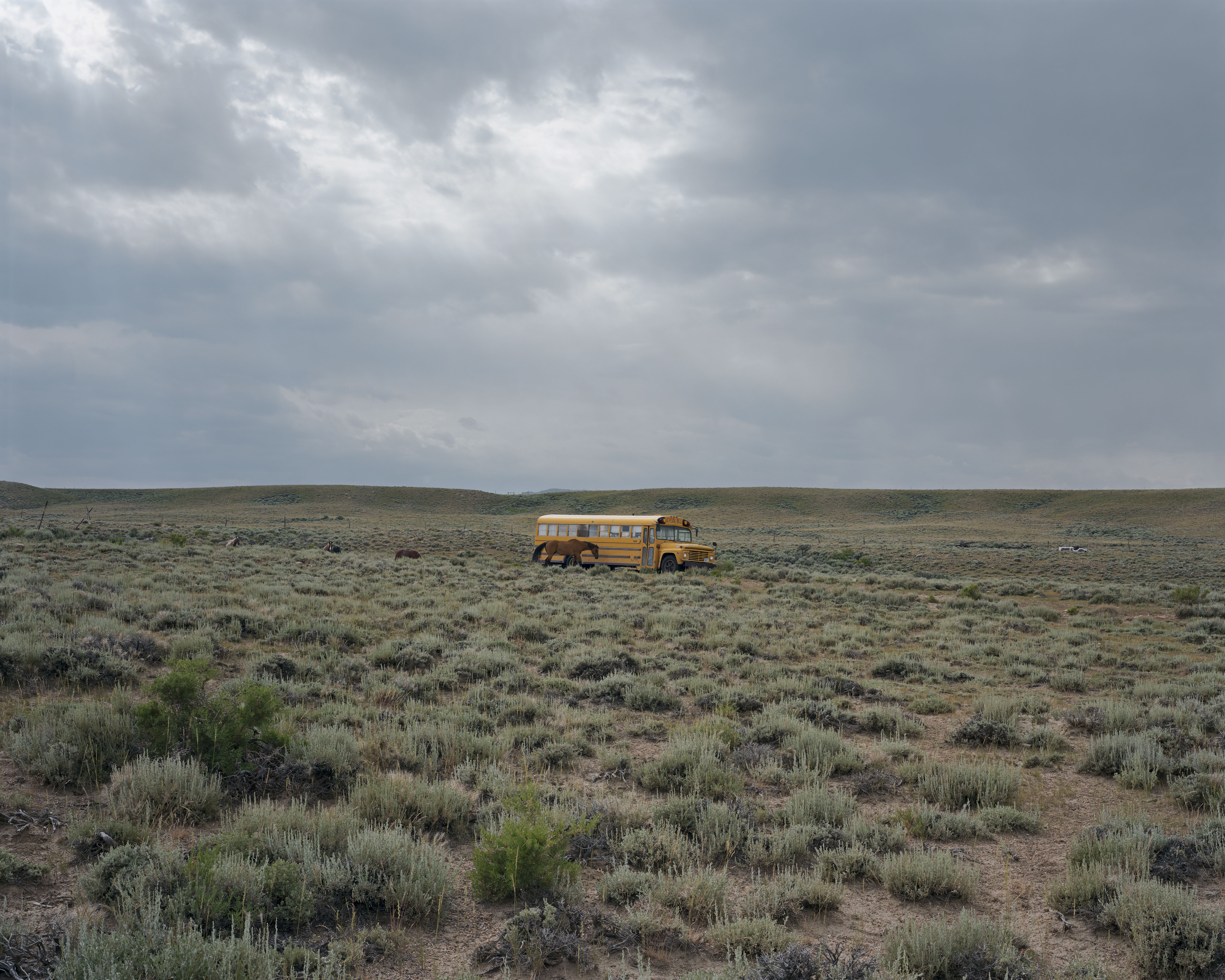 Alec Soth’s "USA, 2008."